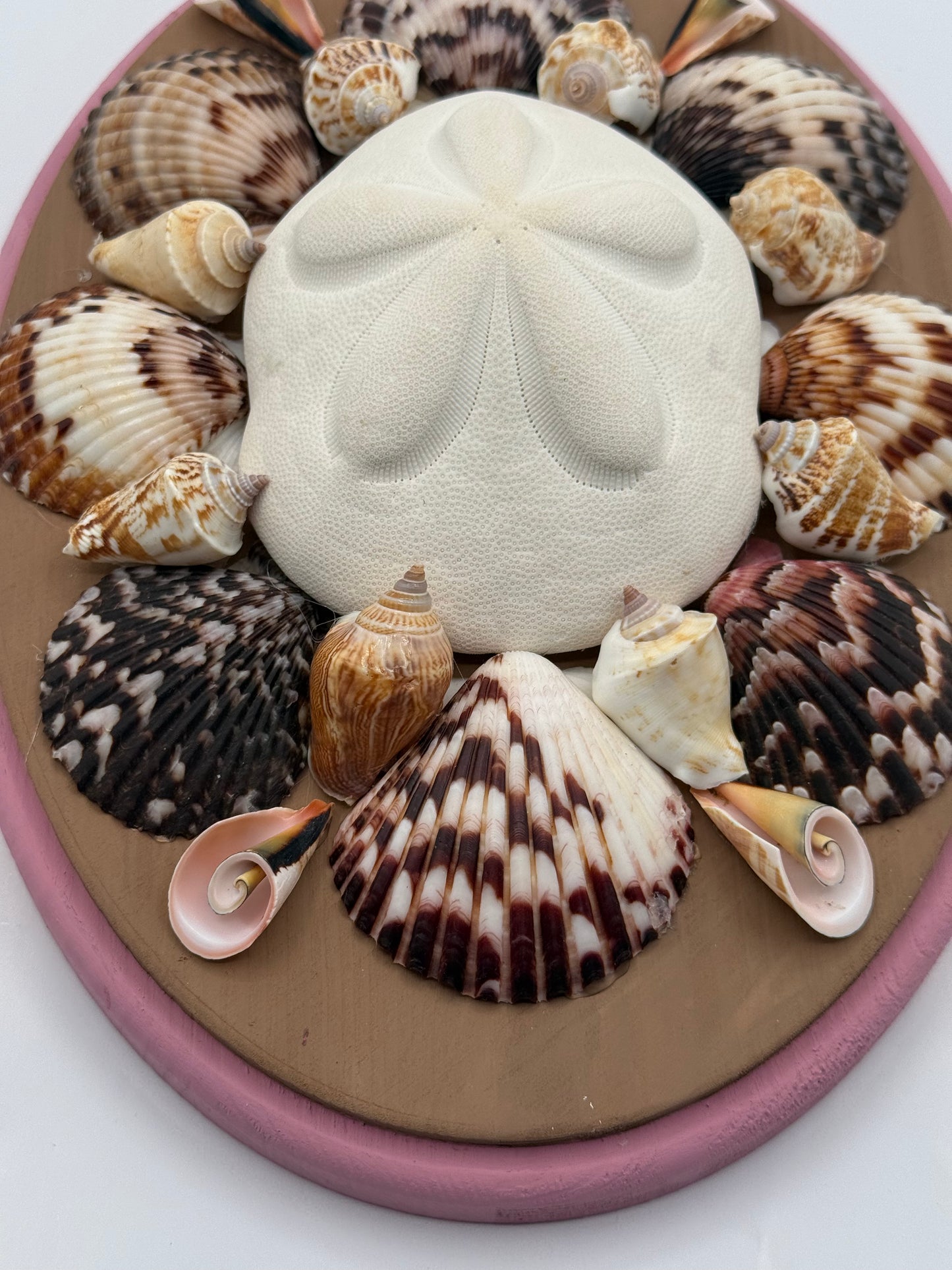 Shell Panel