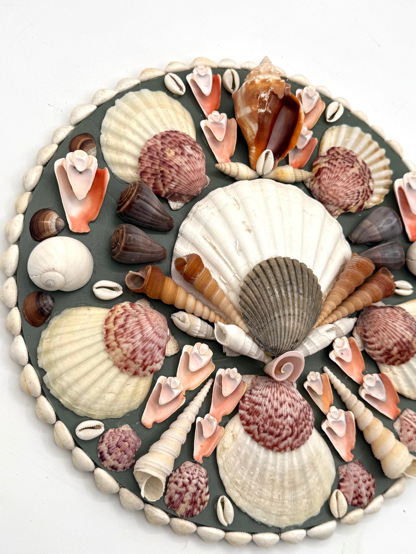 Shell Panel 12"