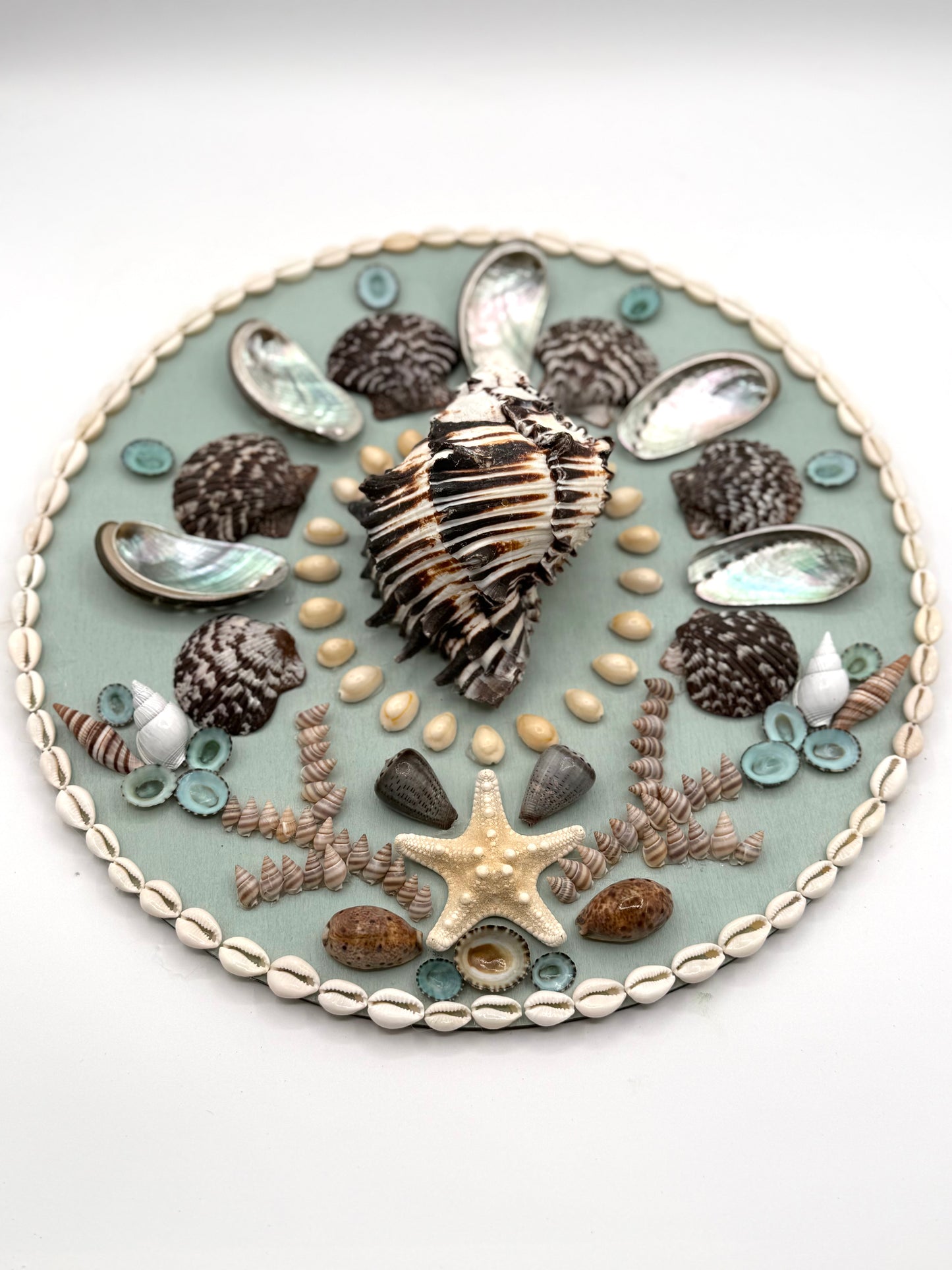 Shell Panel 14"