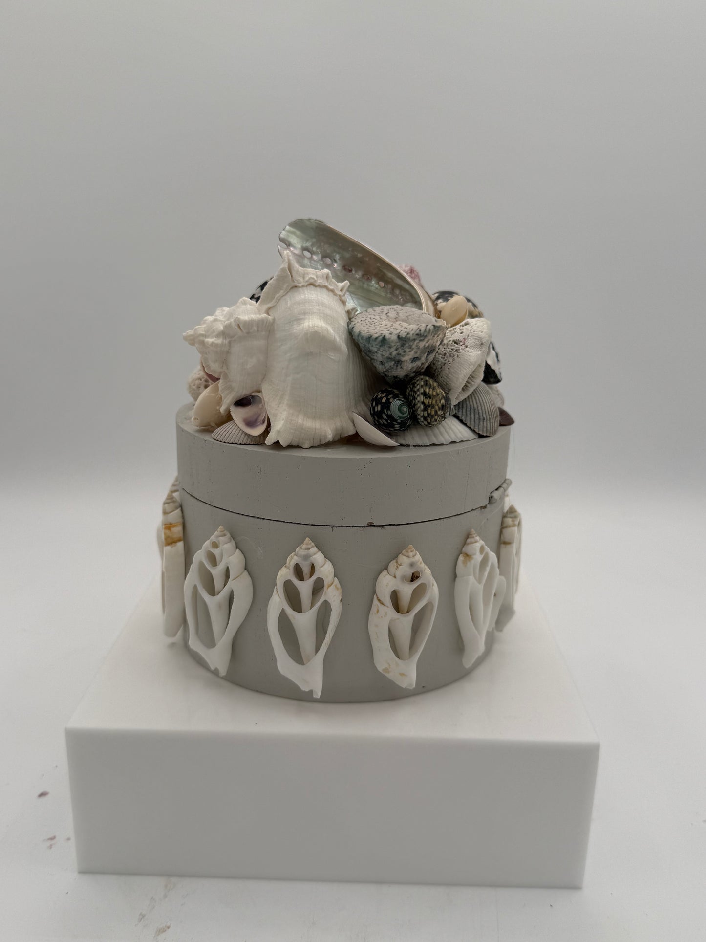 Shell Box
