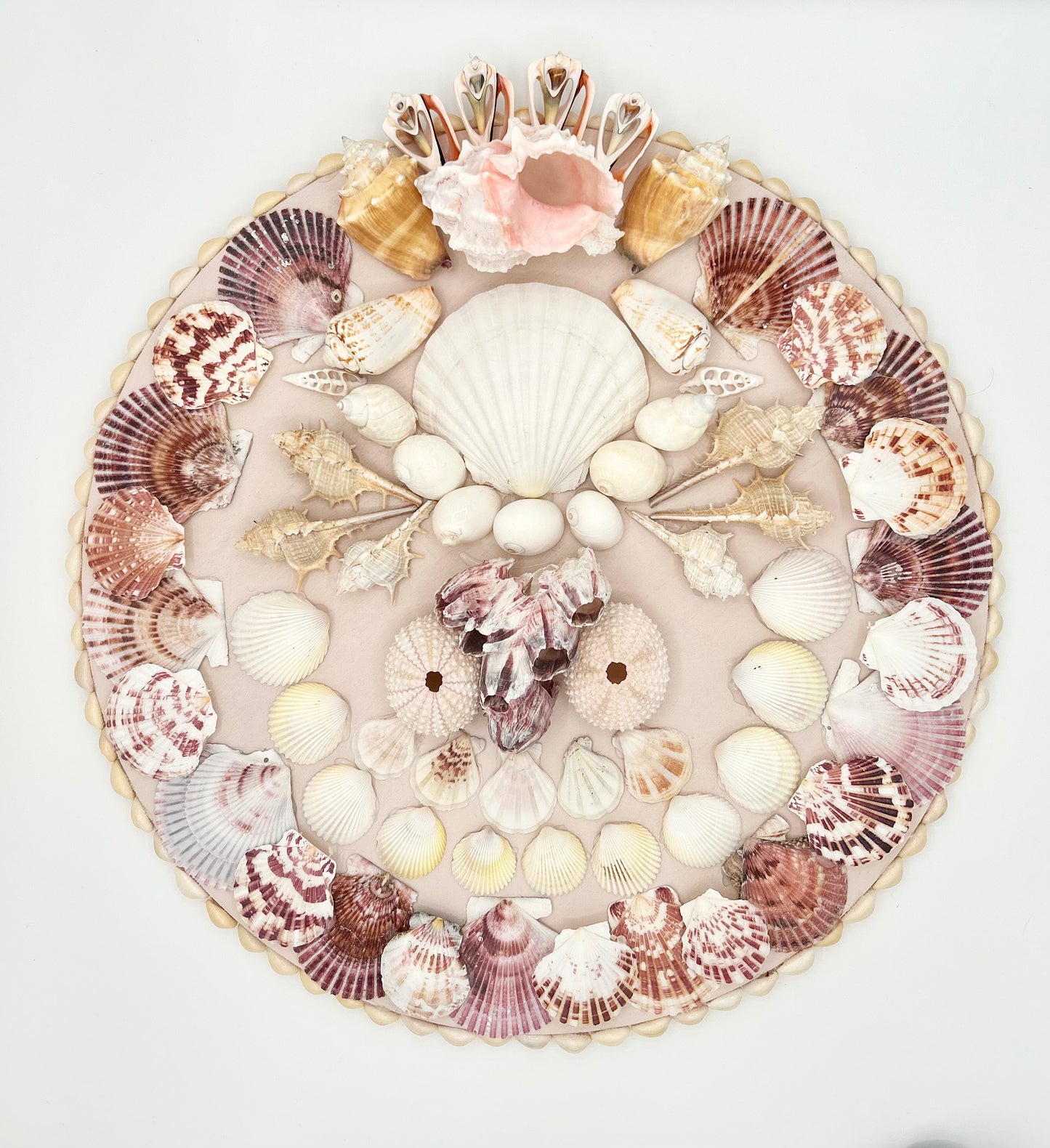 Shell Panel 16"