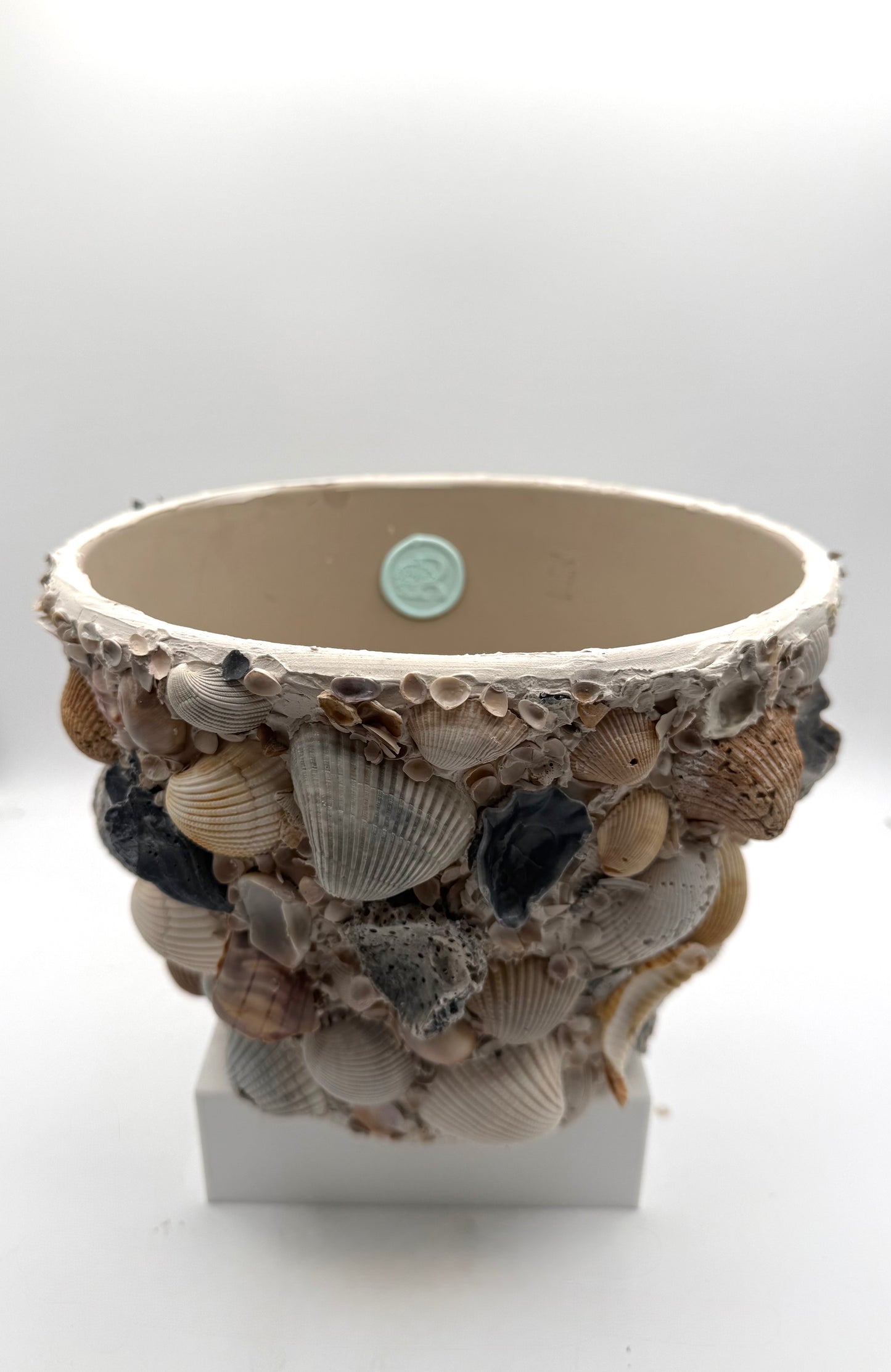 Shell Encrusted Planter
