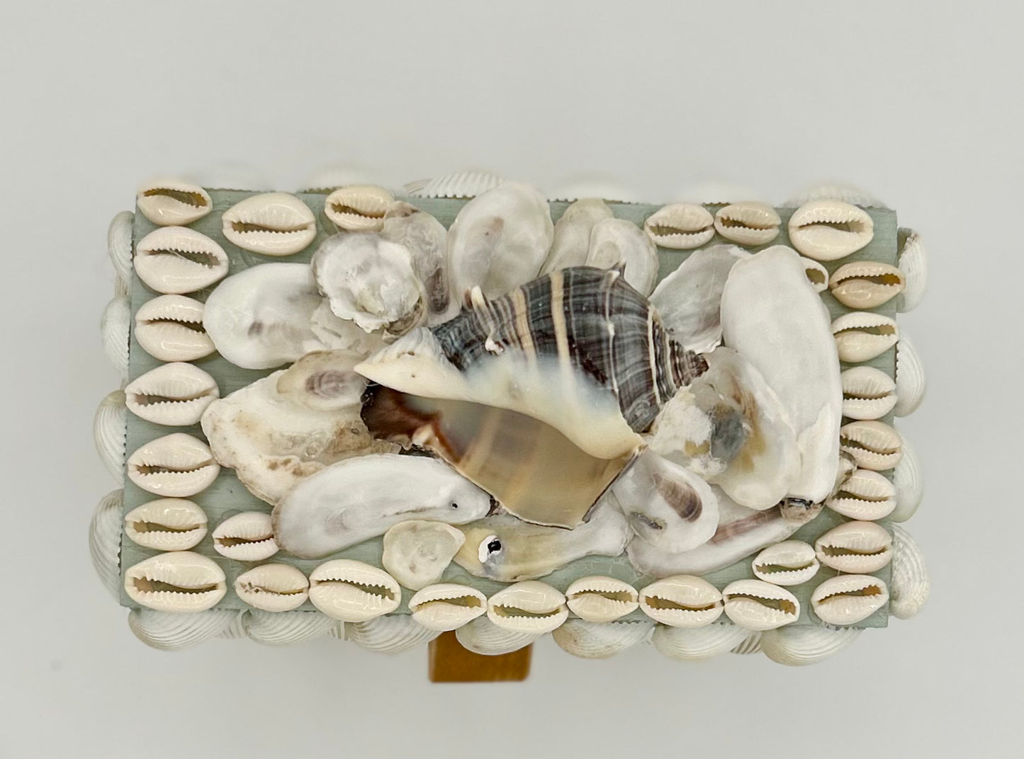 Shell Box