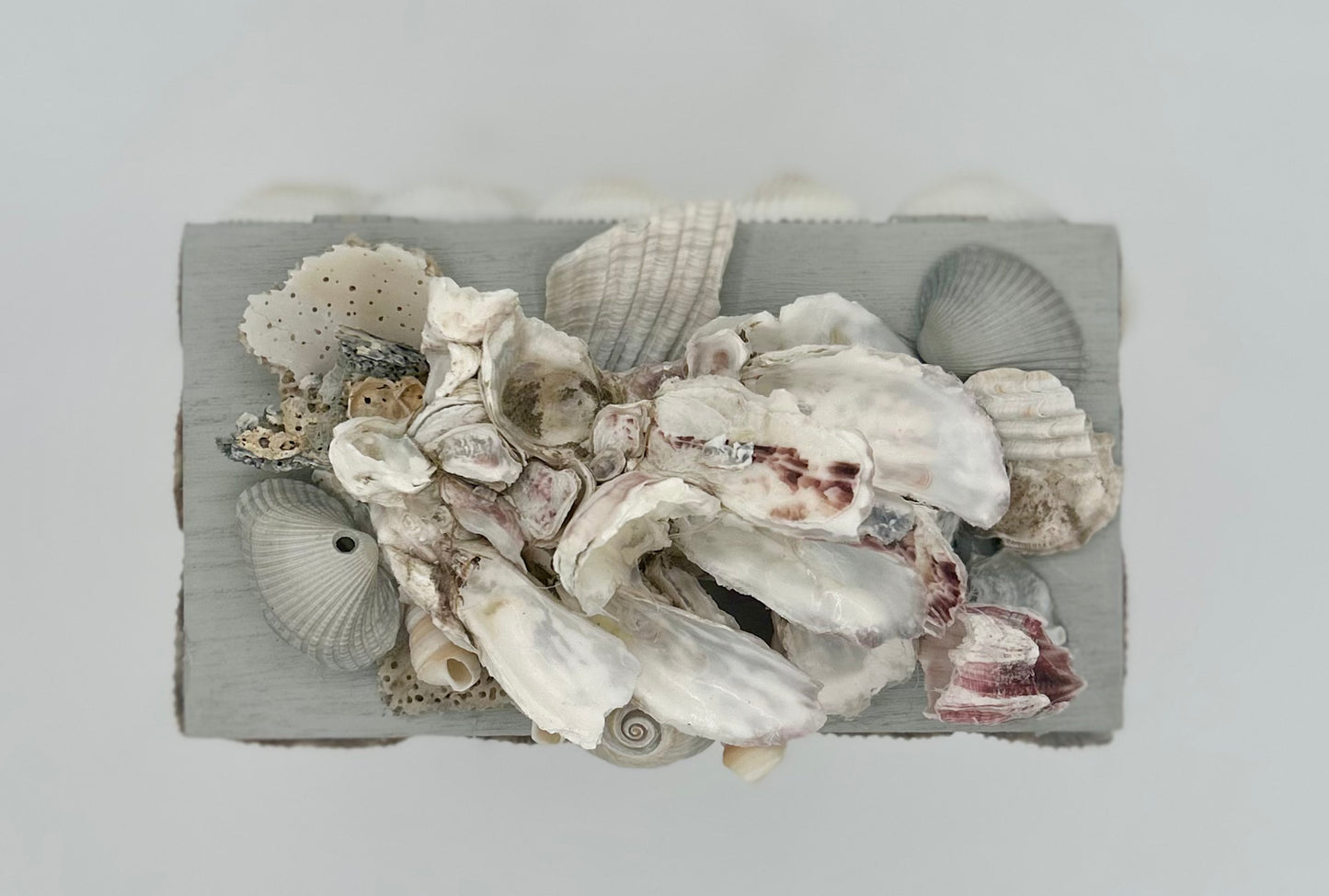 Shell Box
