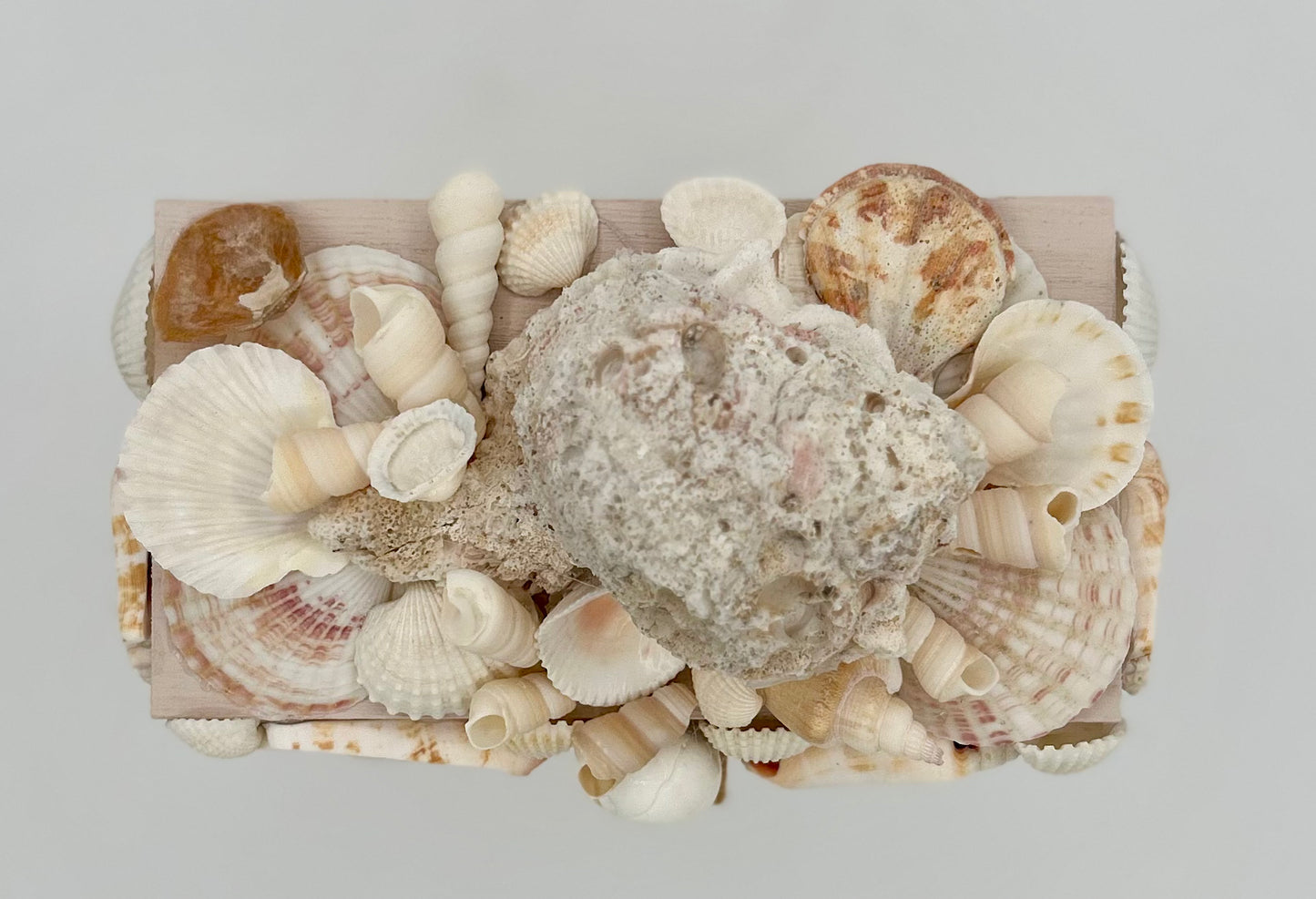 Shell Box