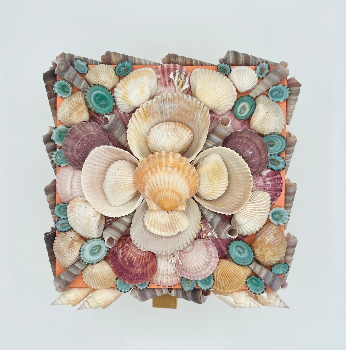 Shell Box