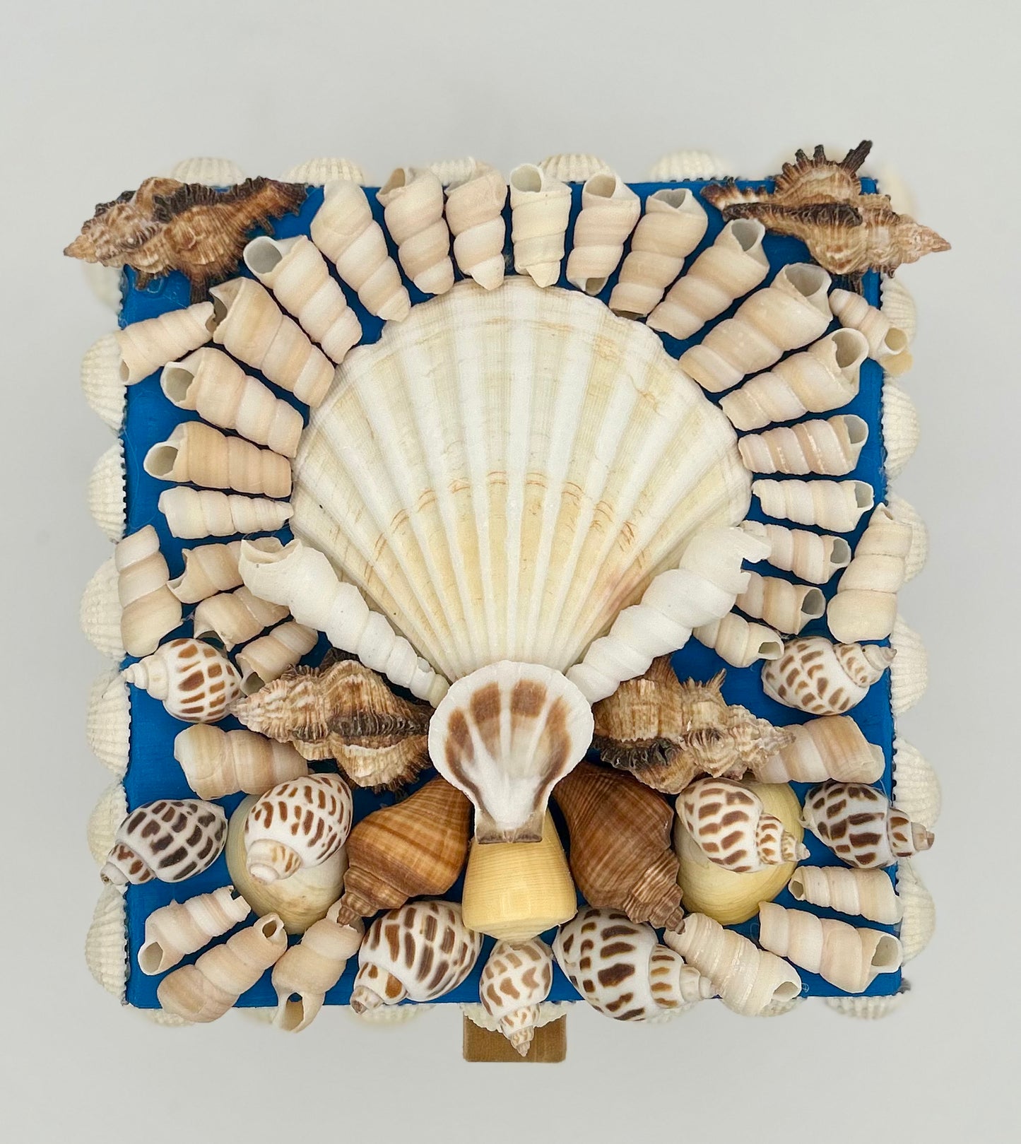 Shell Box
