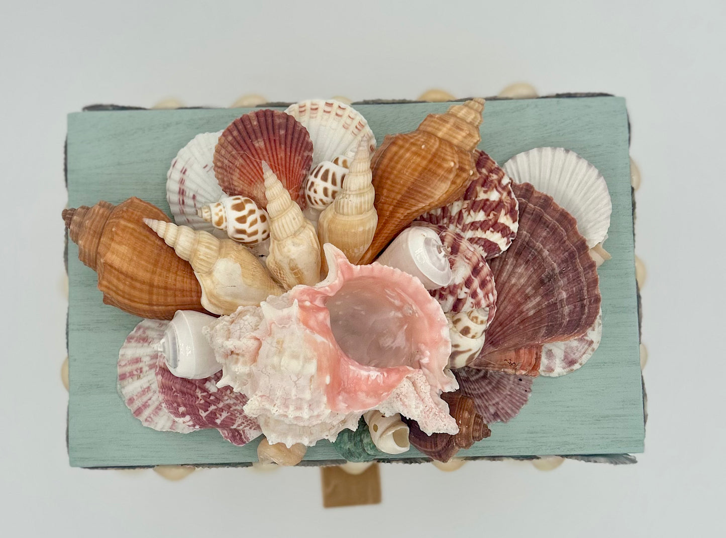 Shell Box