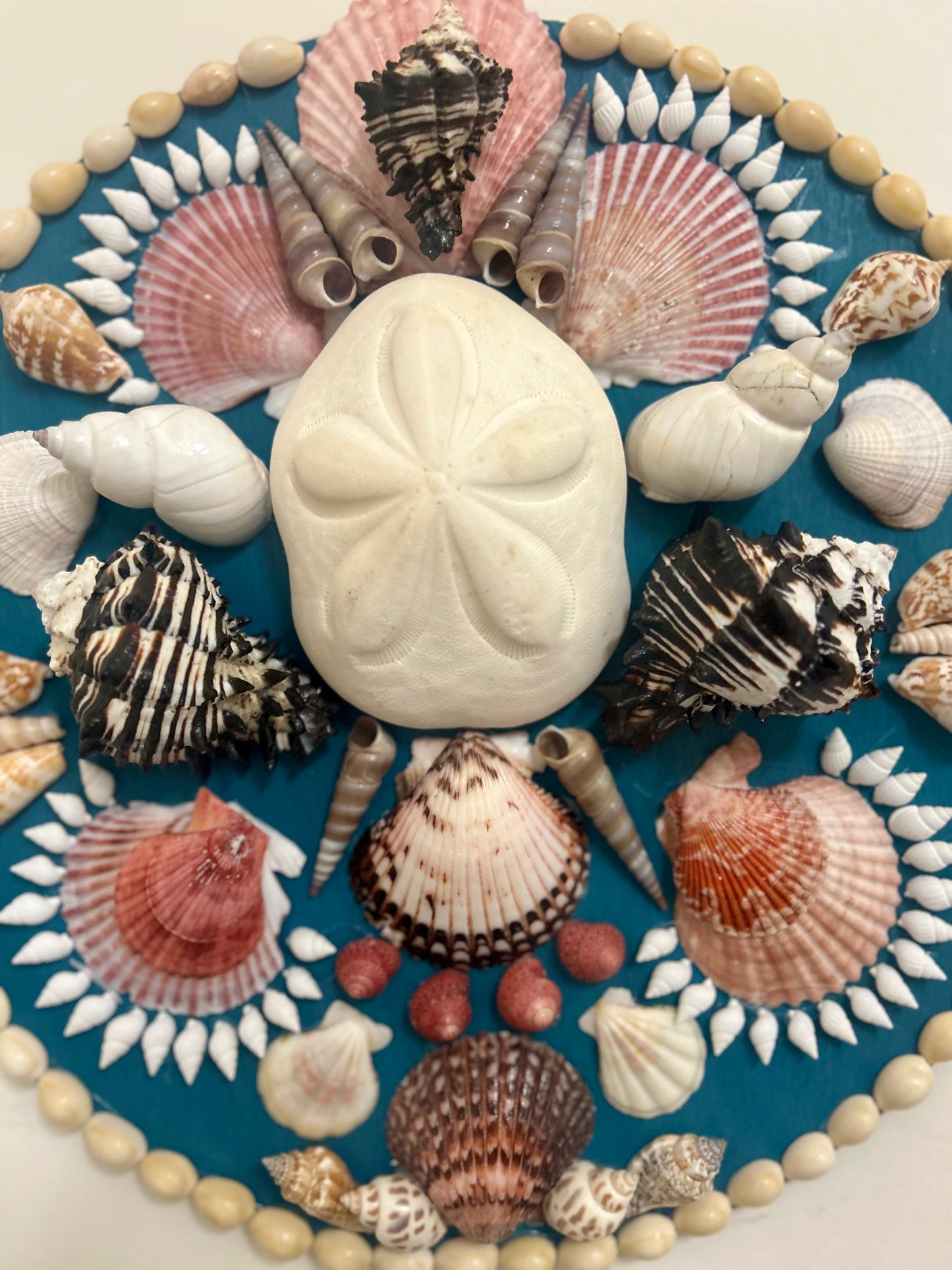 Round Shell Panel, 14"