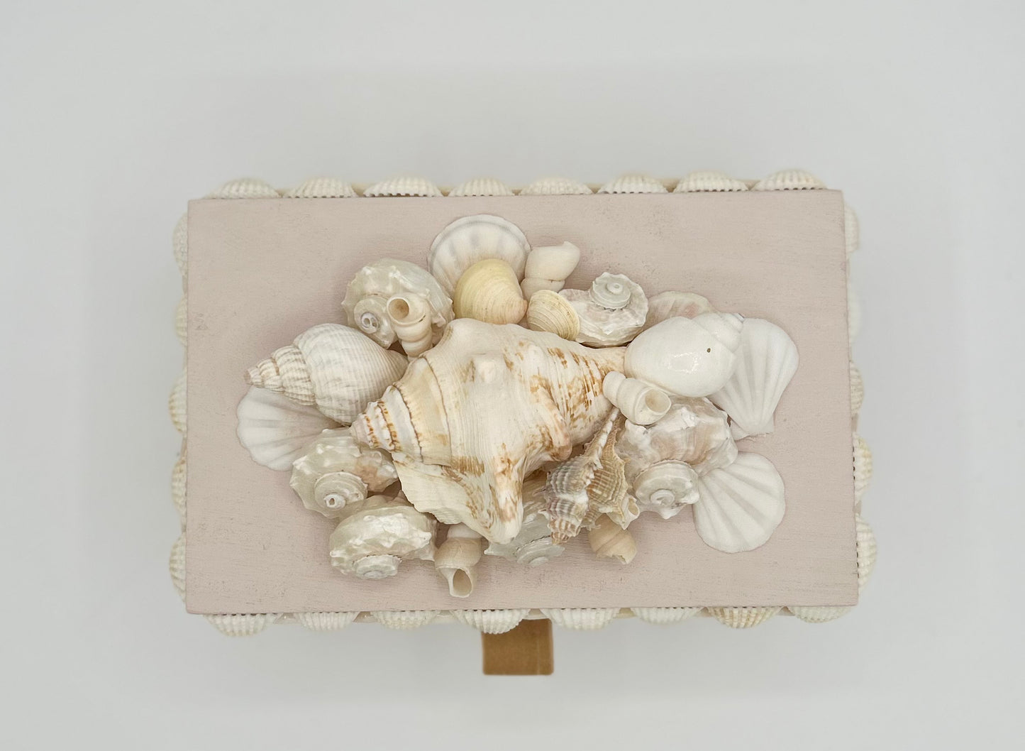 Shell Box