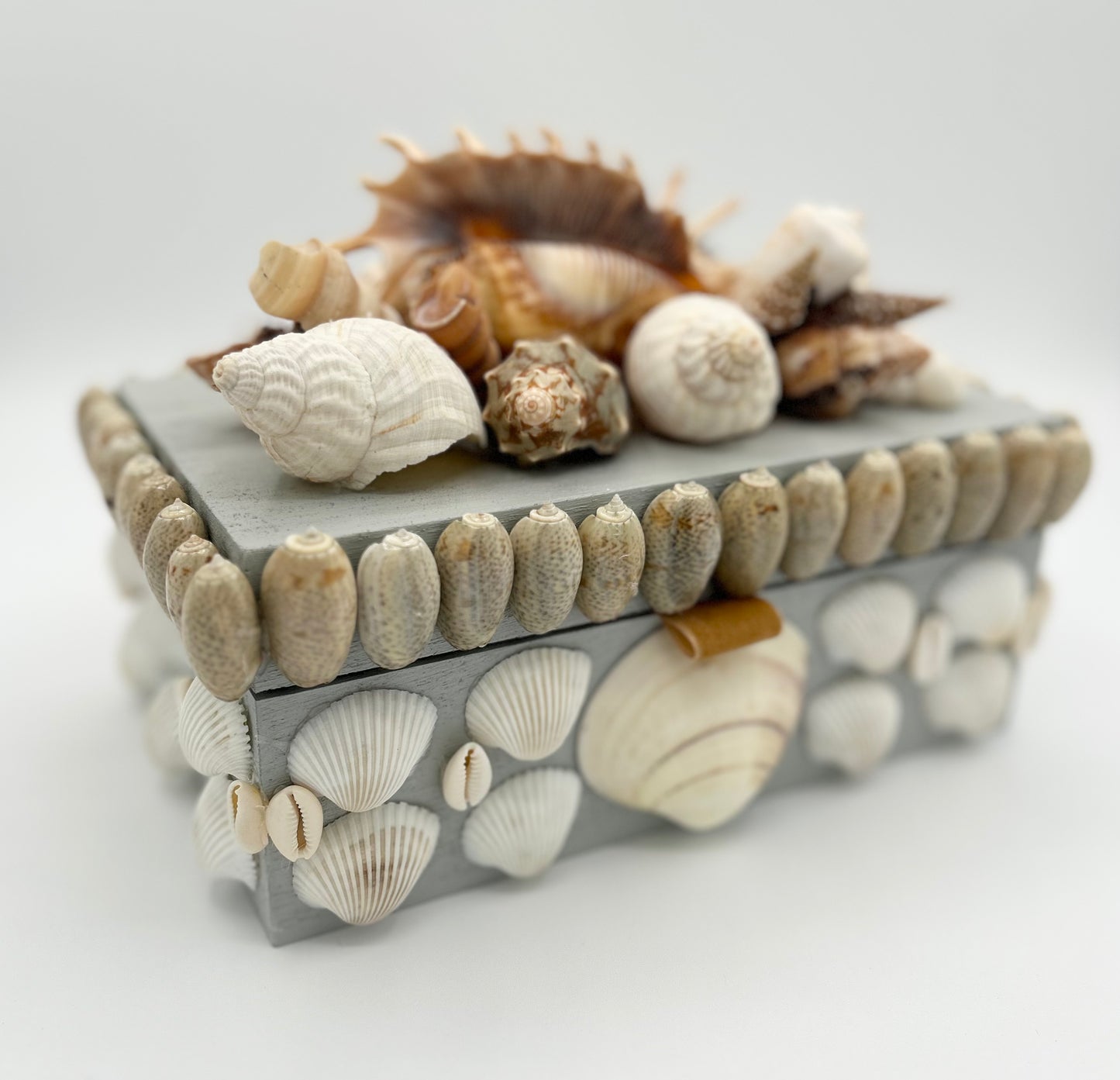 Shell Box