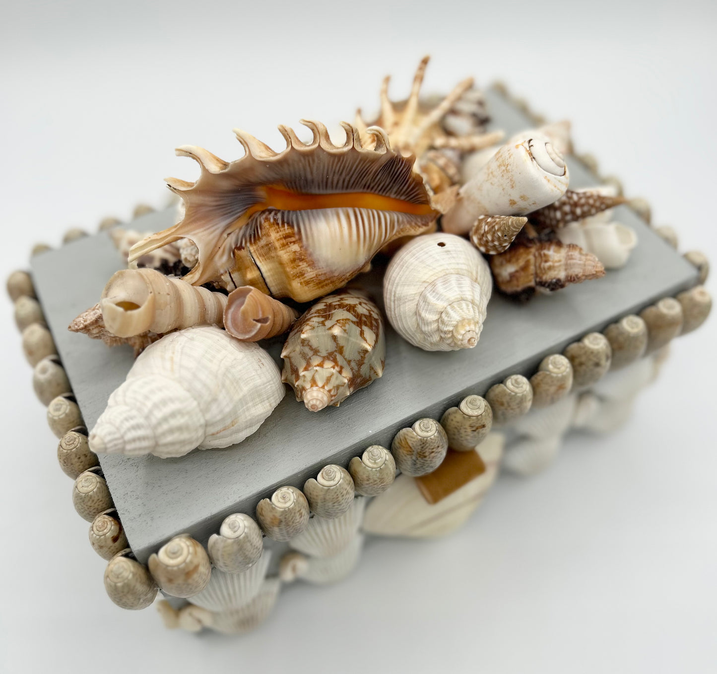 Shell Box