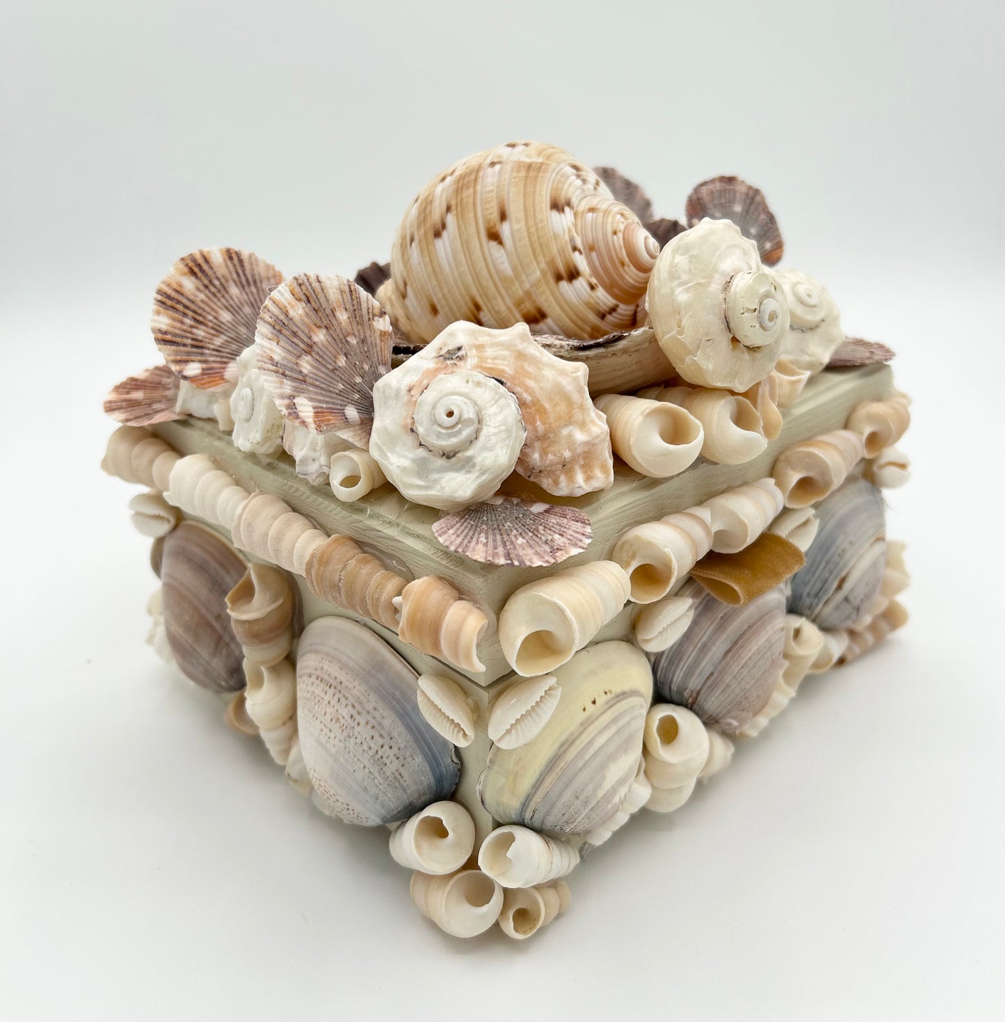 Shell Box