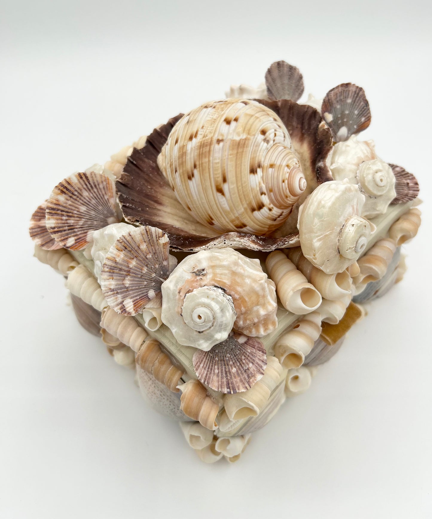 Shell Box
