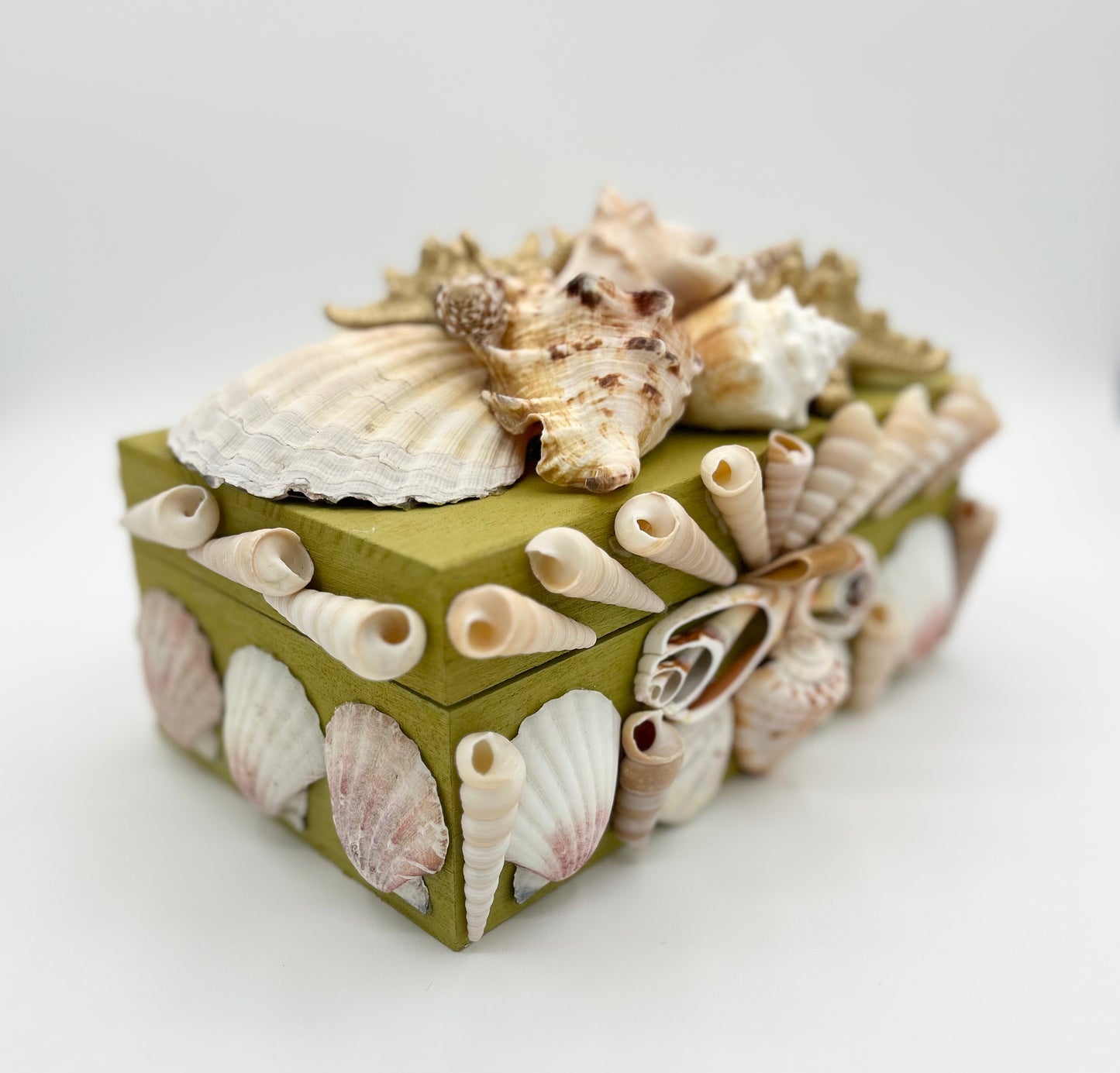 Shell Box