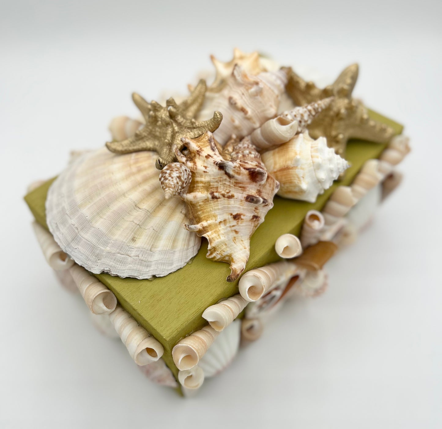 Shell Box