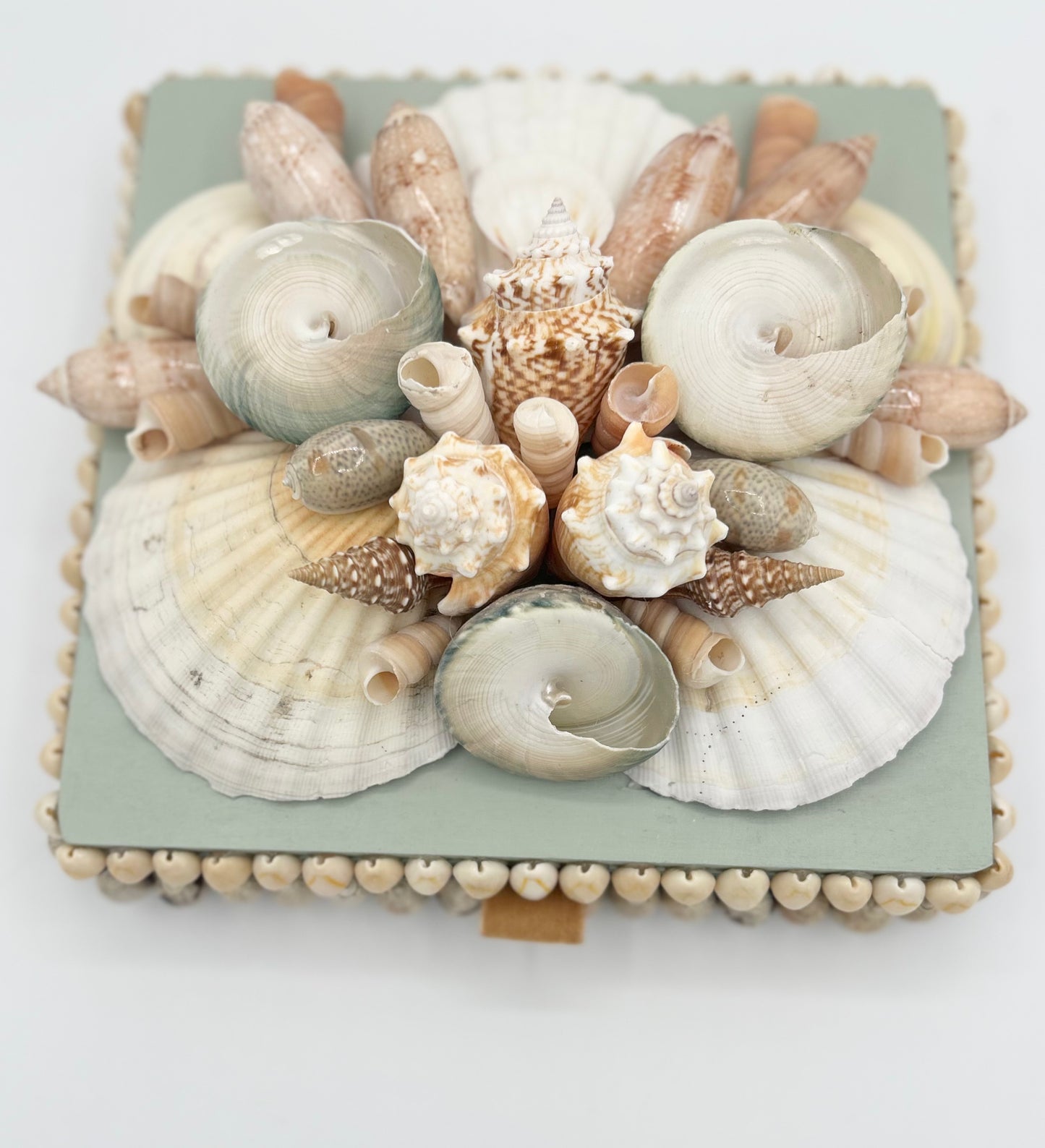 Shell Box