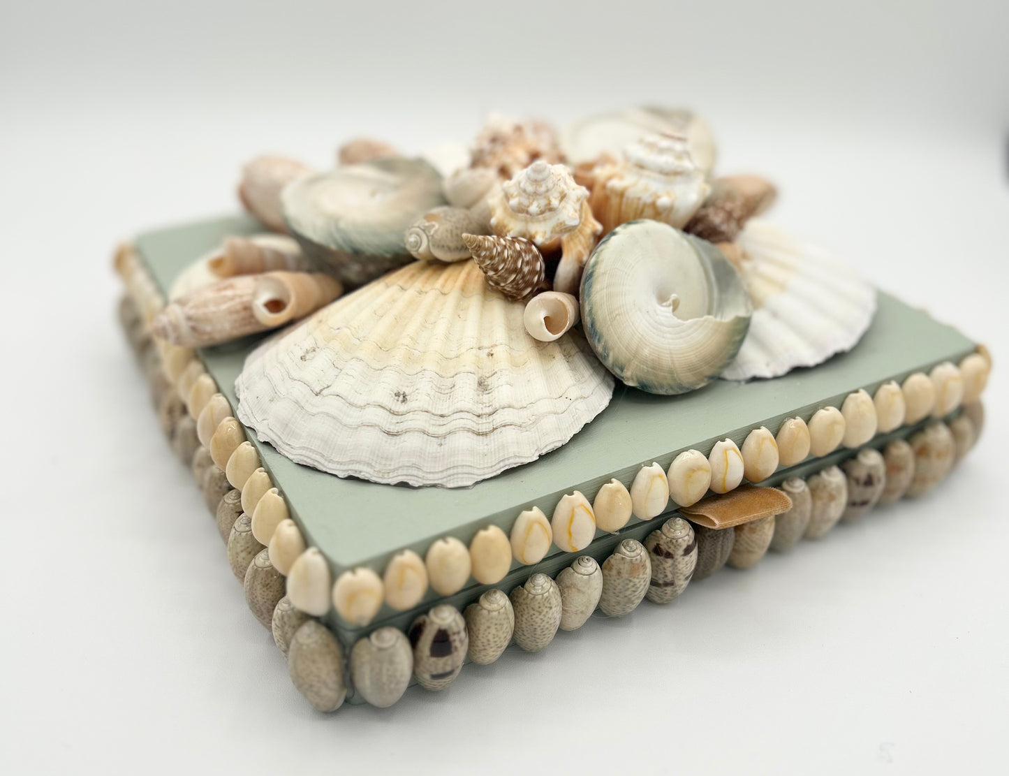 Shell Box