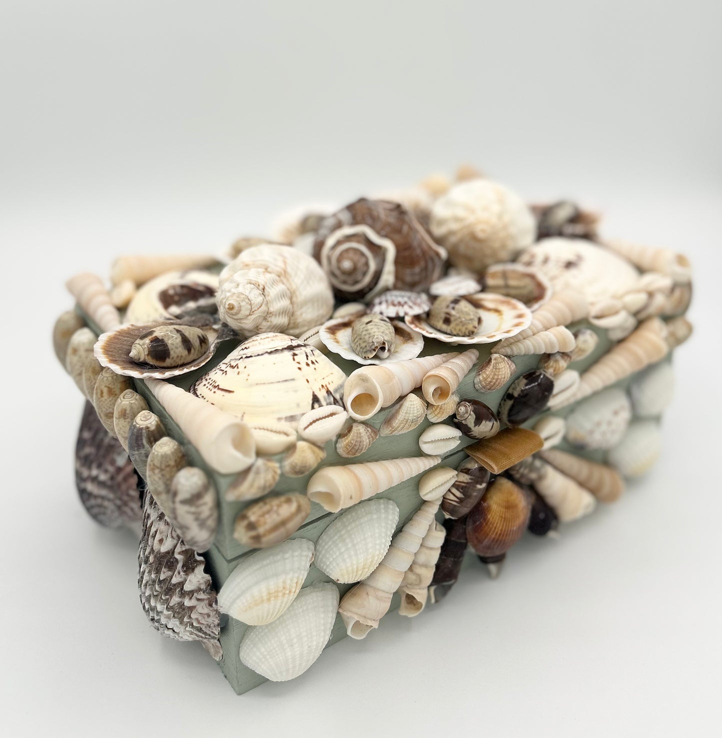 Shell Box