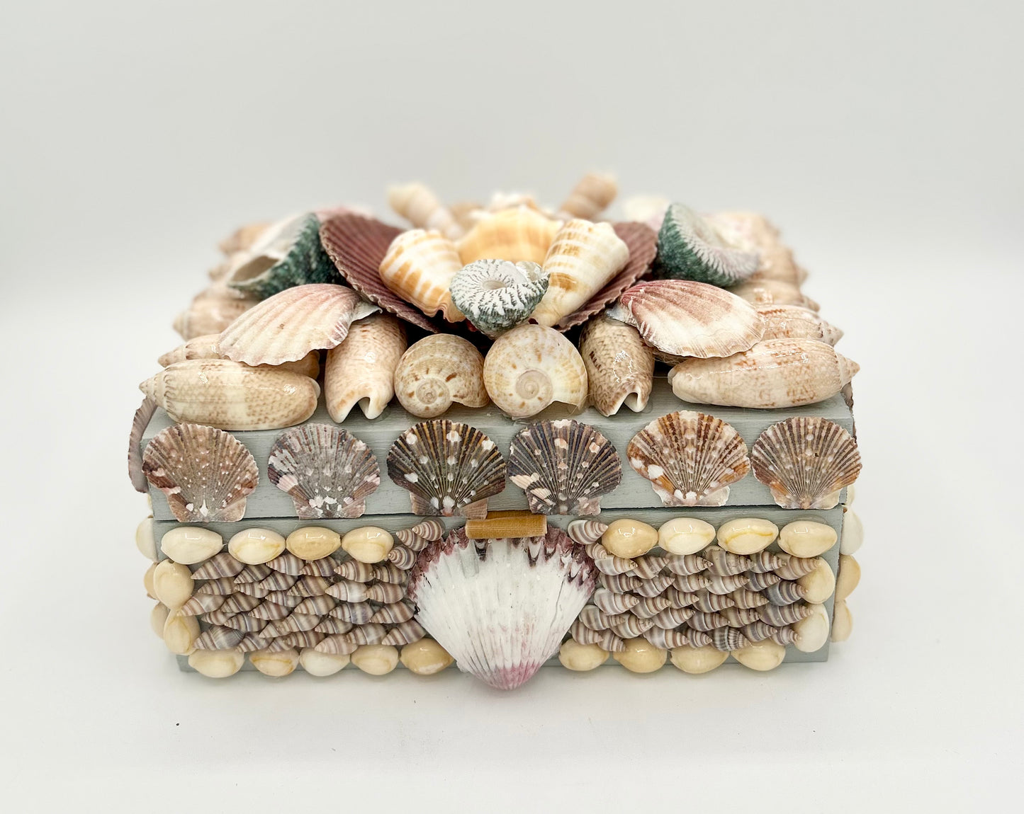 Shell Box