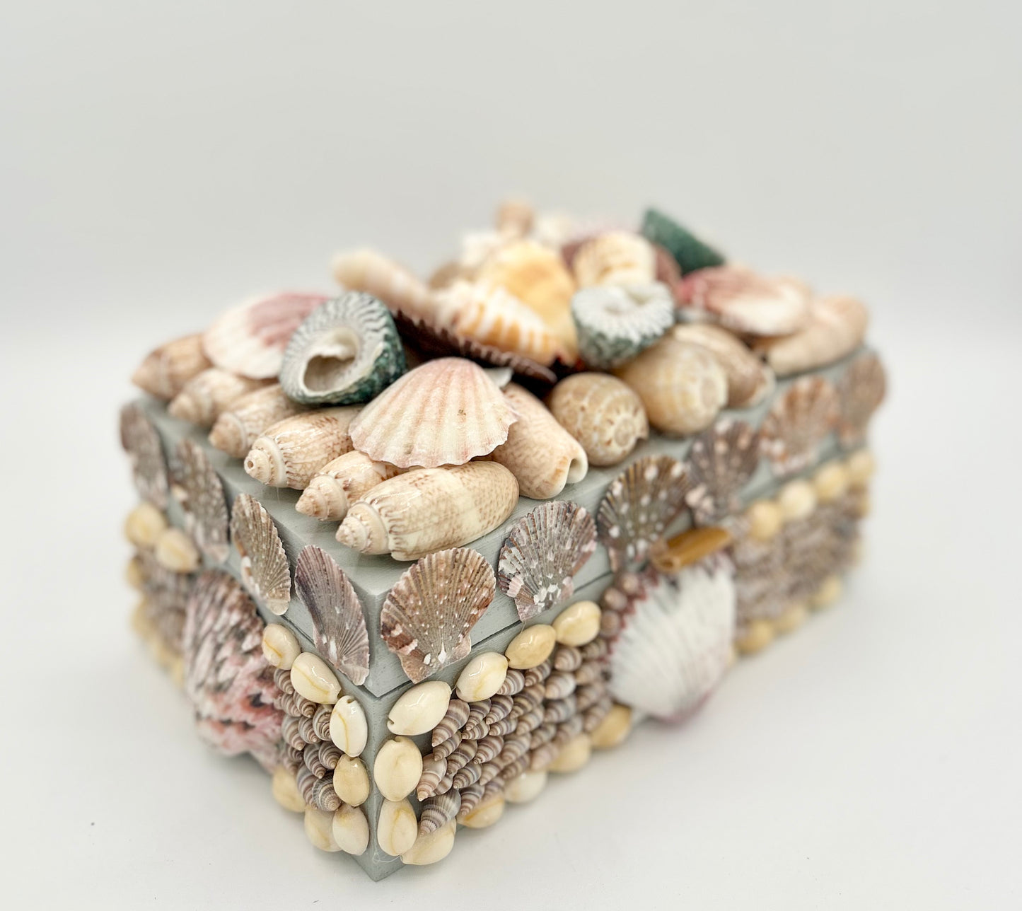 Shell Box