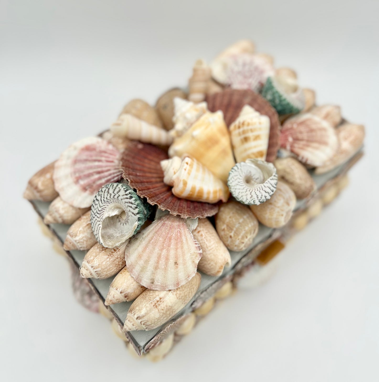 Shell Box