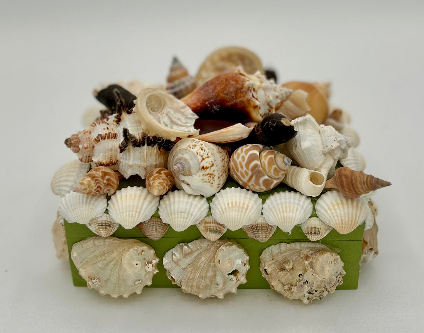 Shell Box