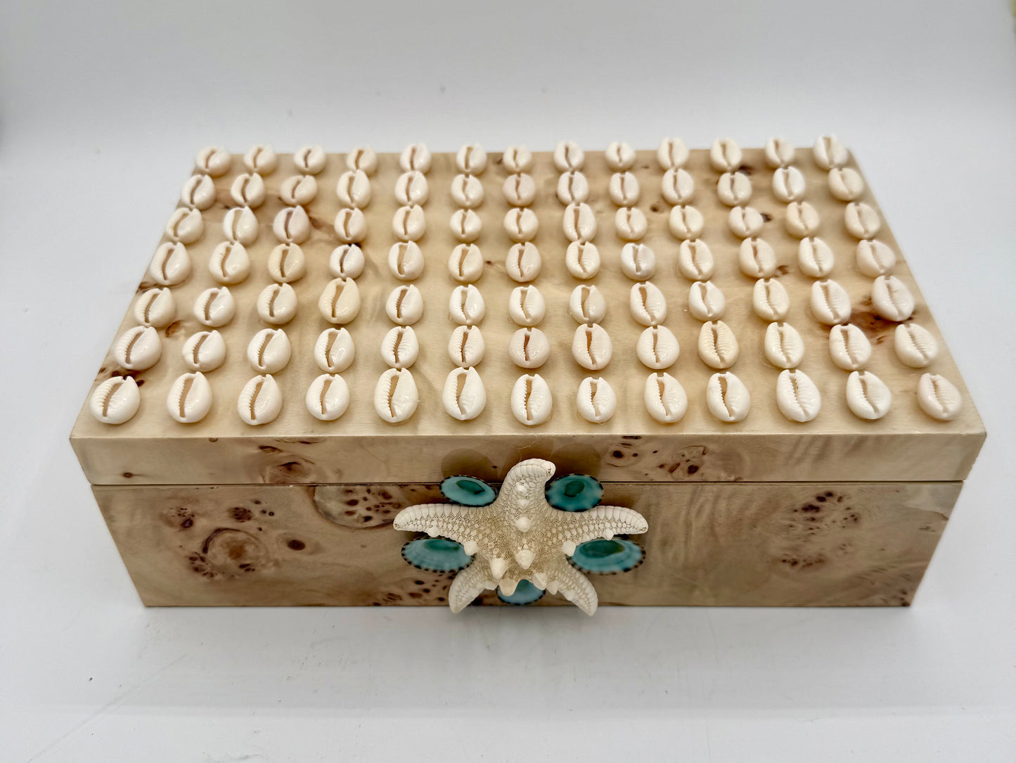 Shell Box