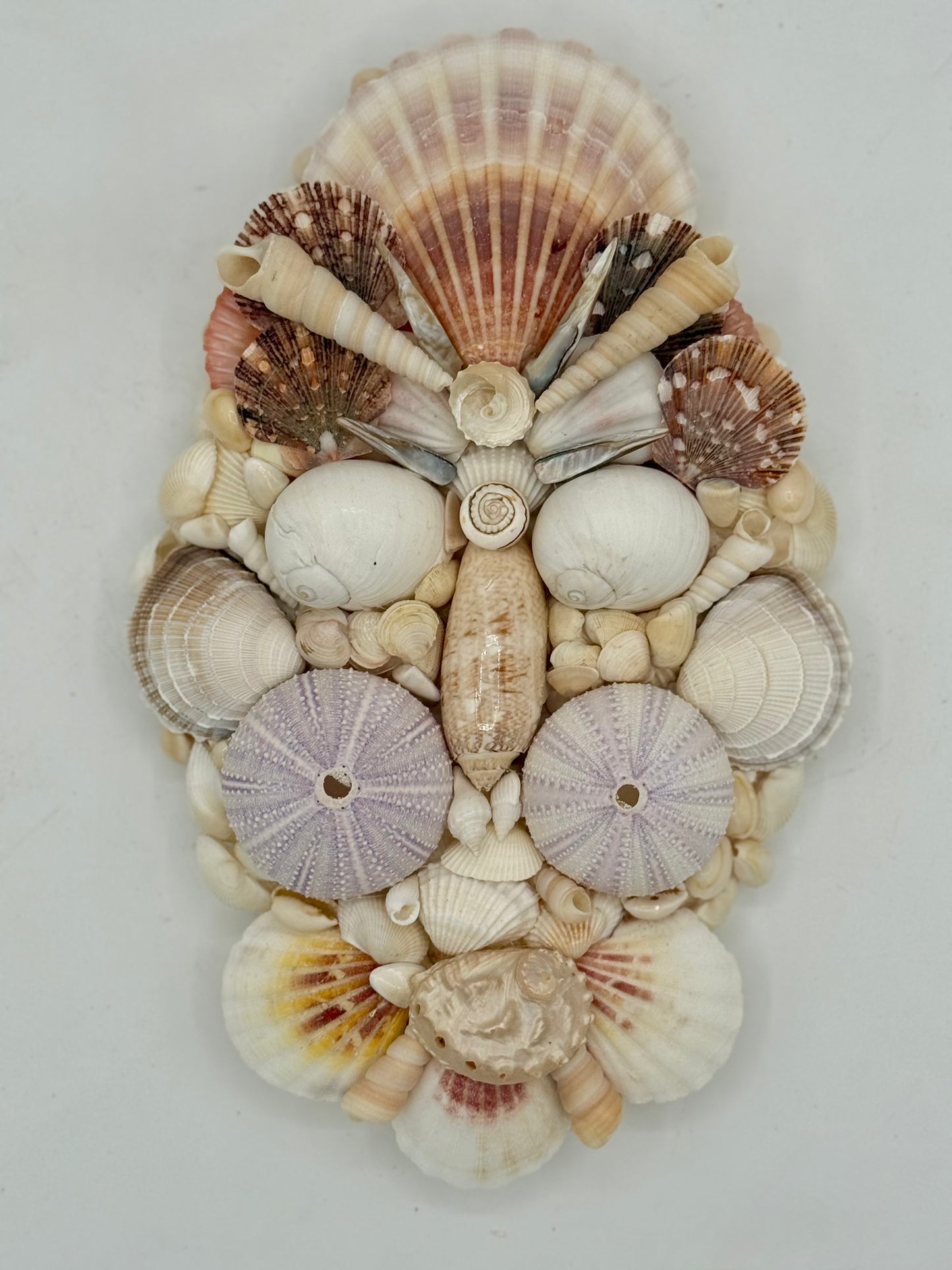 Shell Face