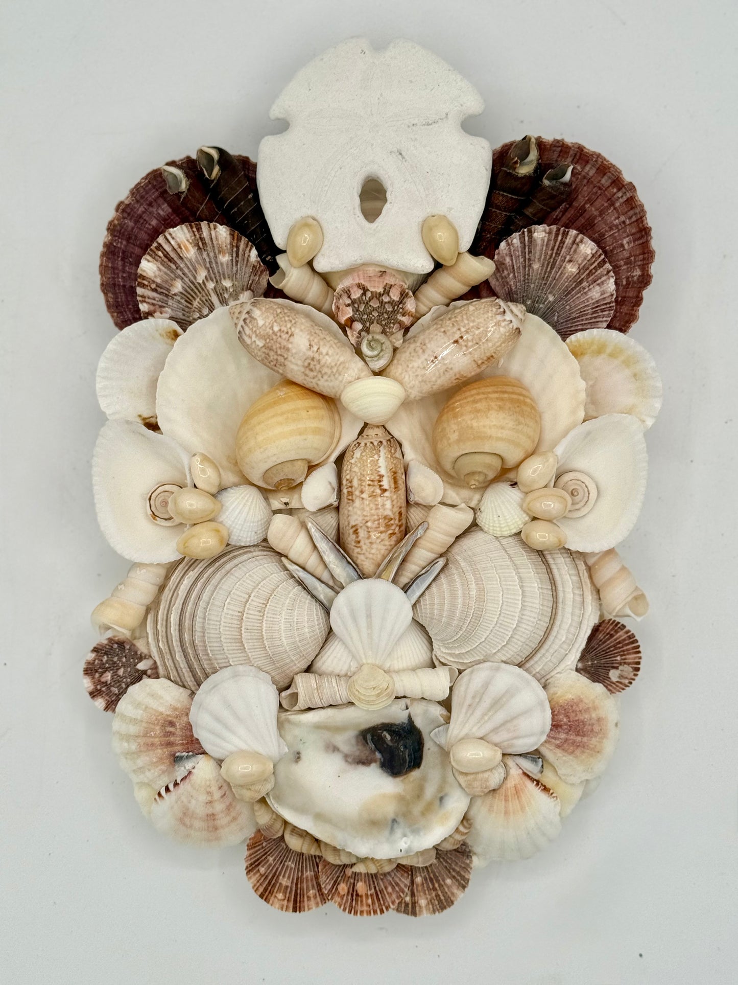 Shell Face