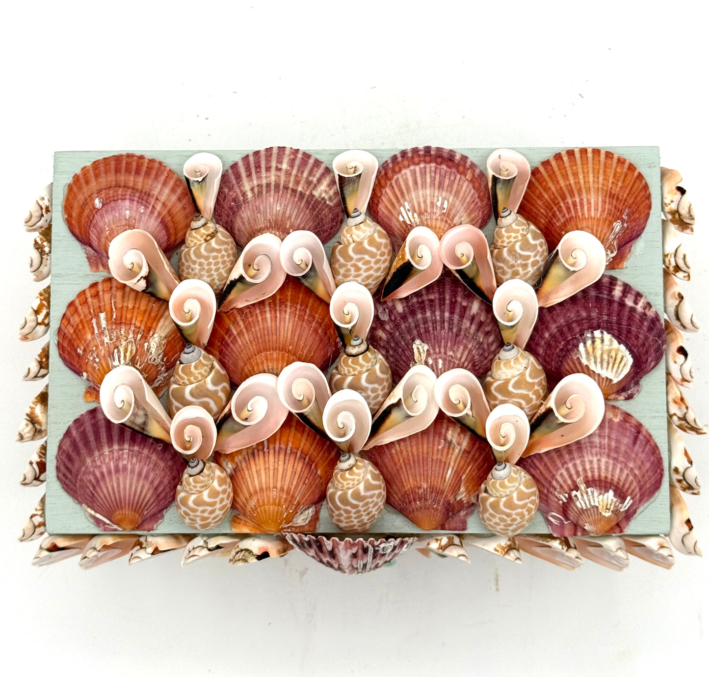 Shell Box