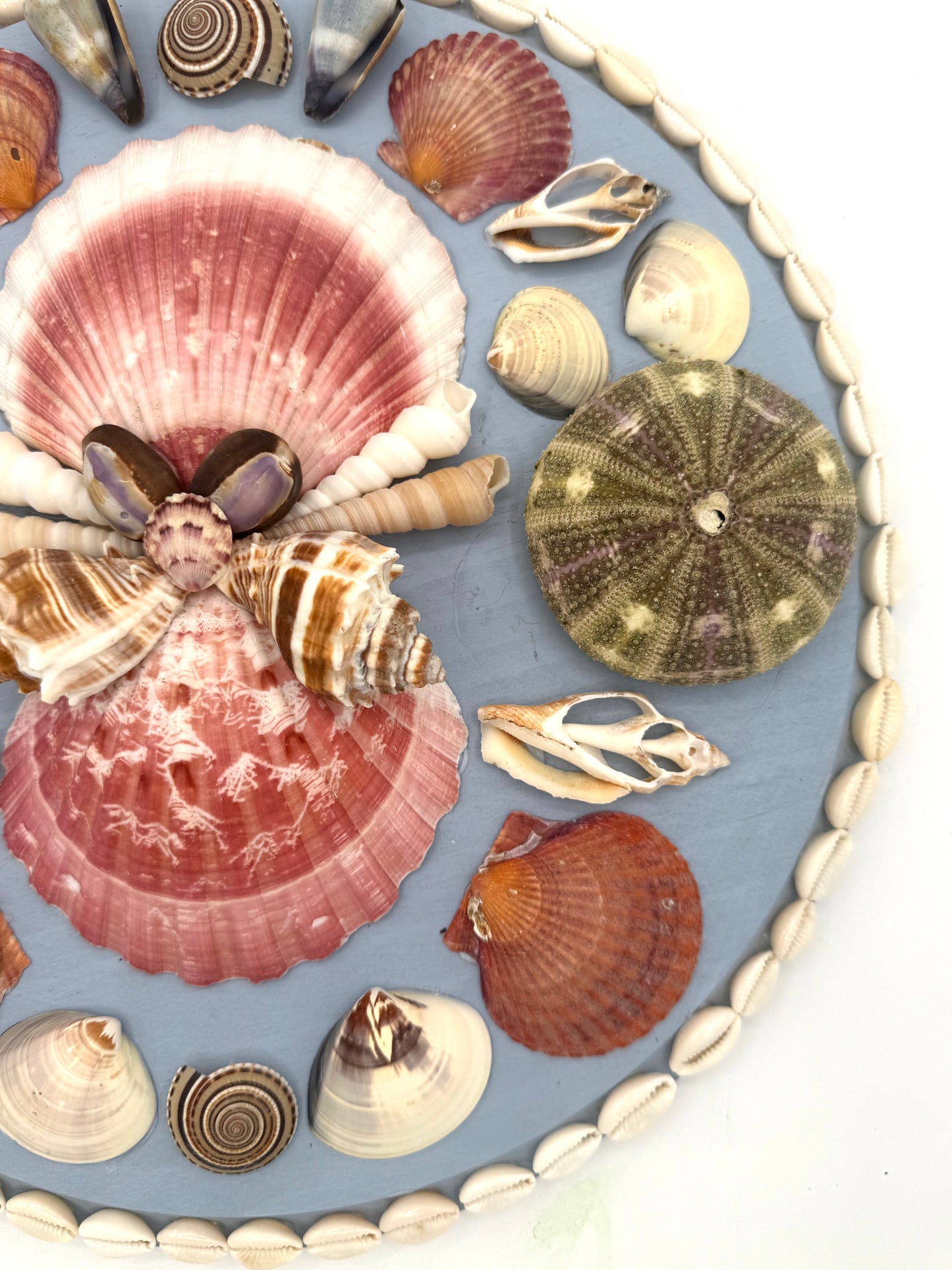 Shell Panel 12"