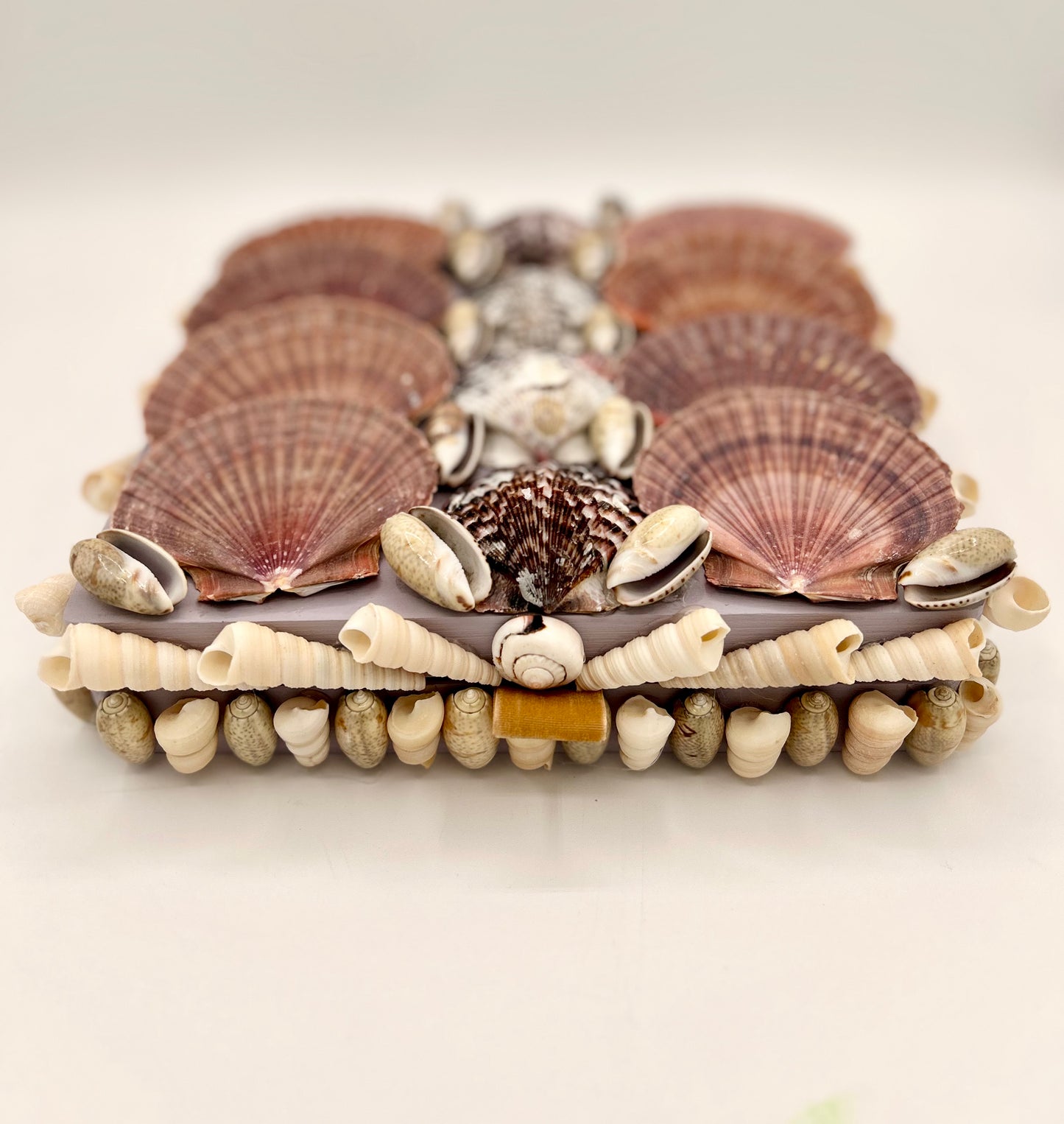 Shell Box