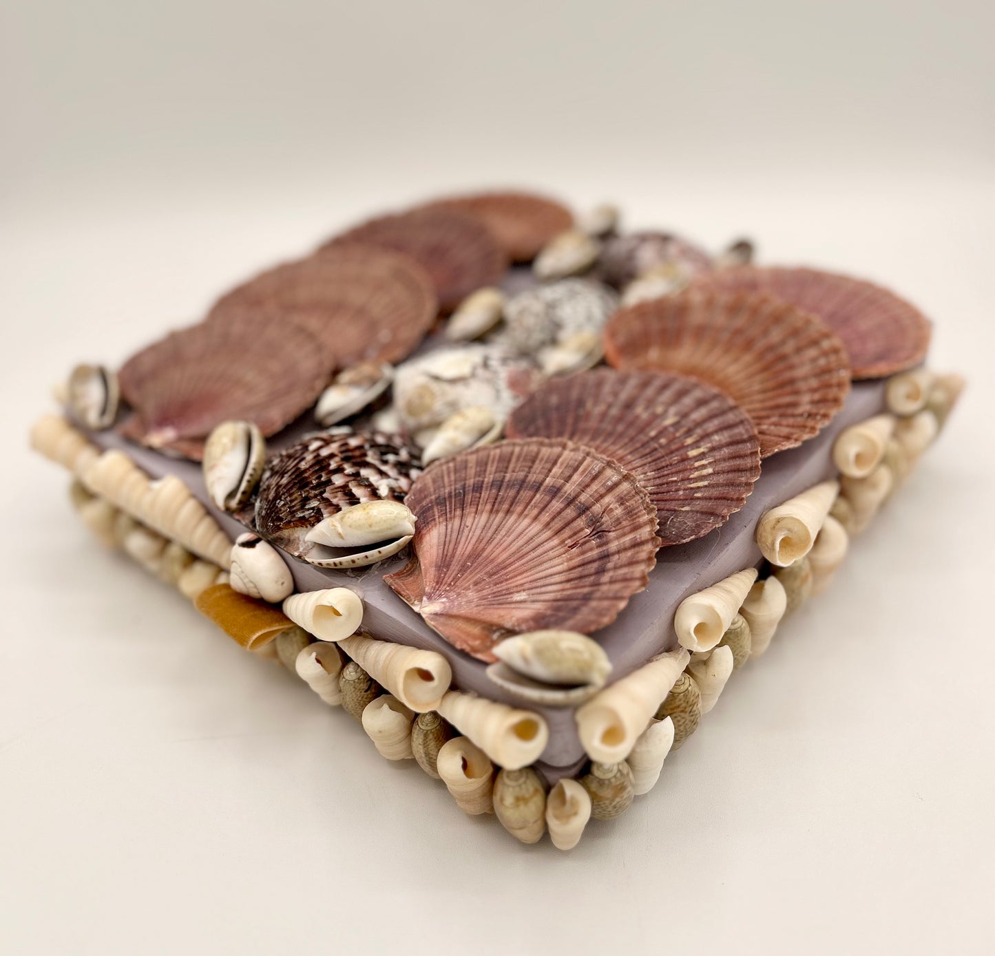 Shell Box