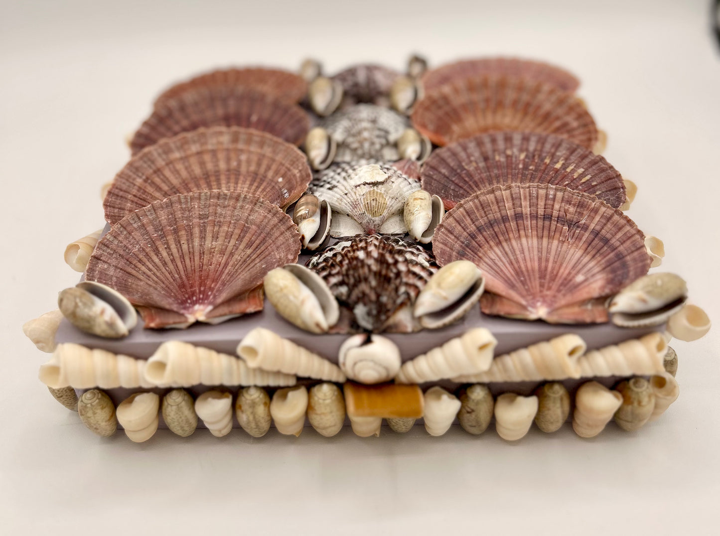 Shell Box