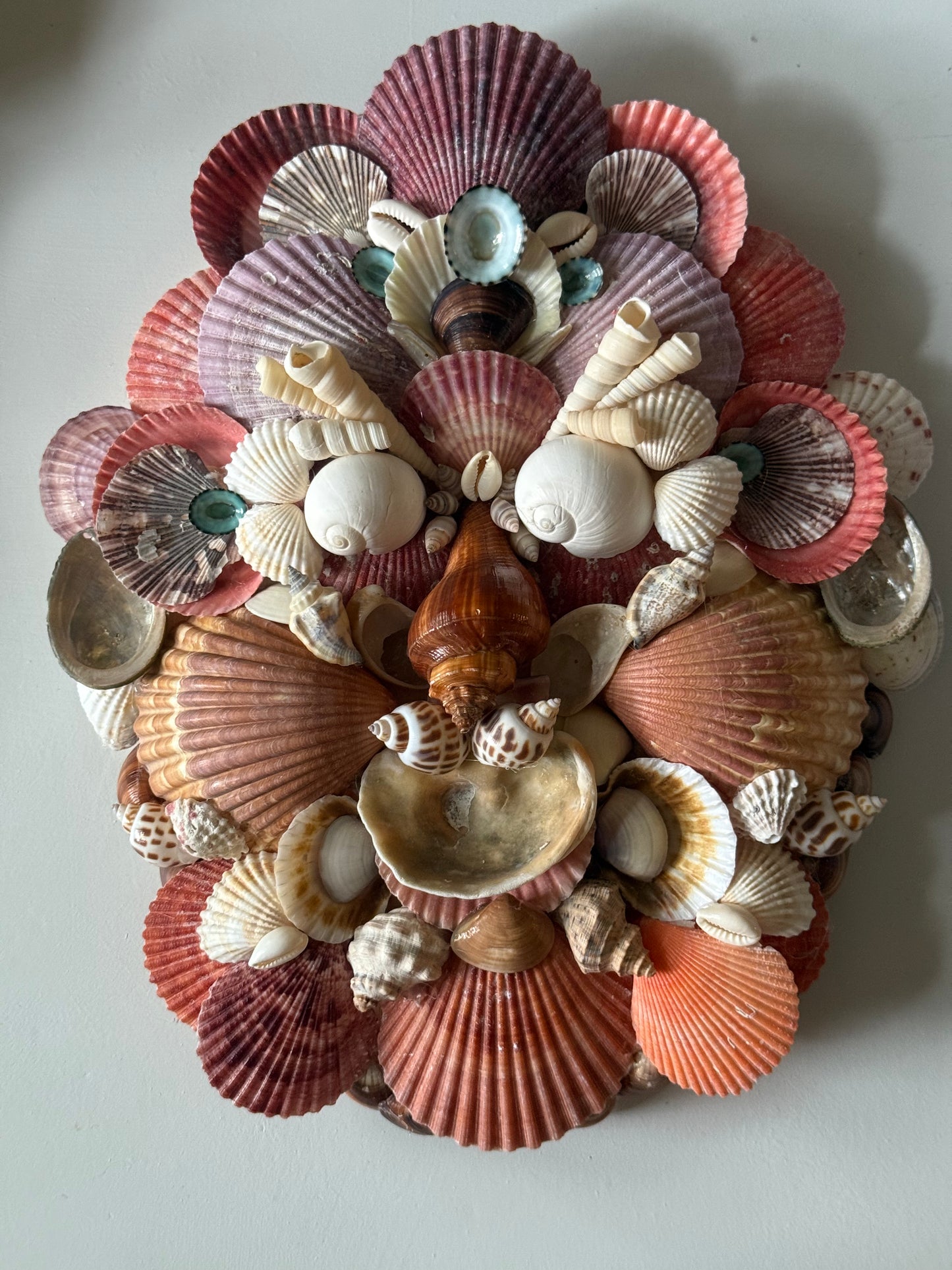 Shell Face