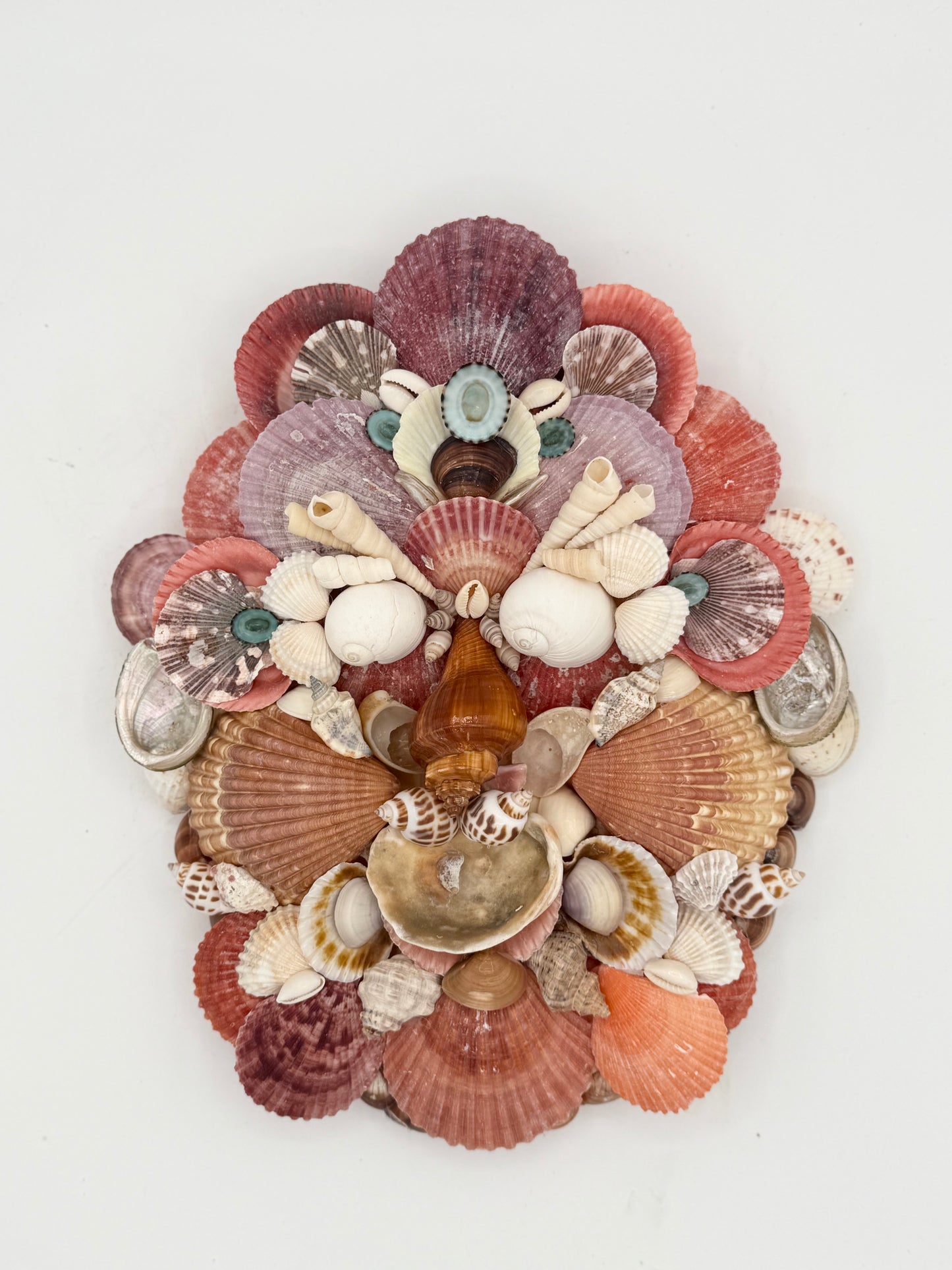 Shell Face
