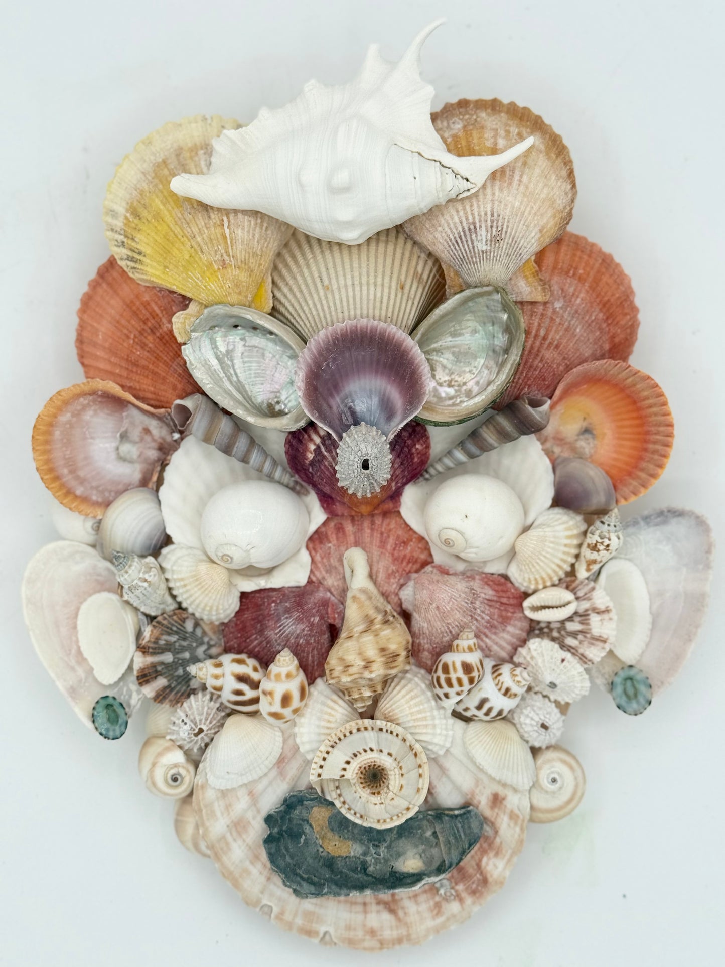 Shell Face