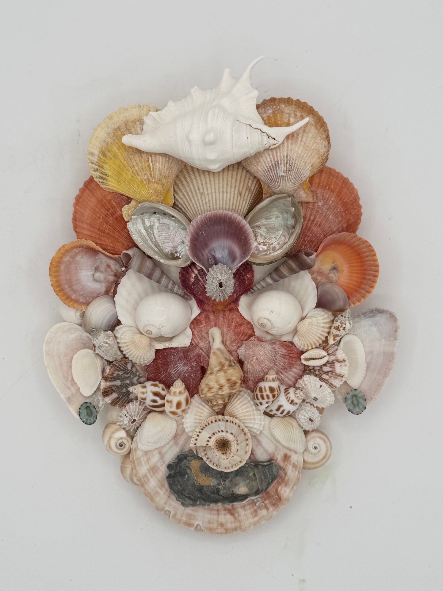 Shell Face