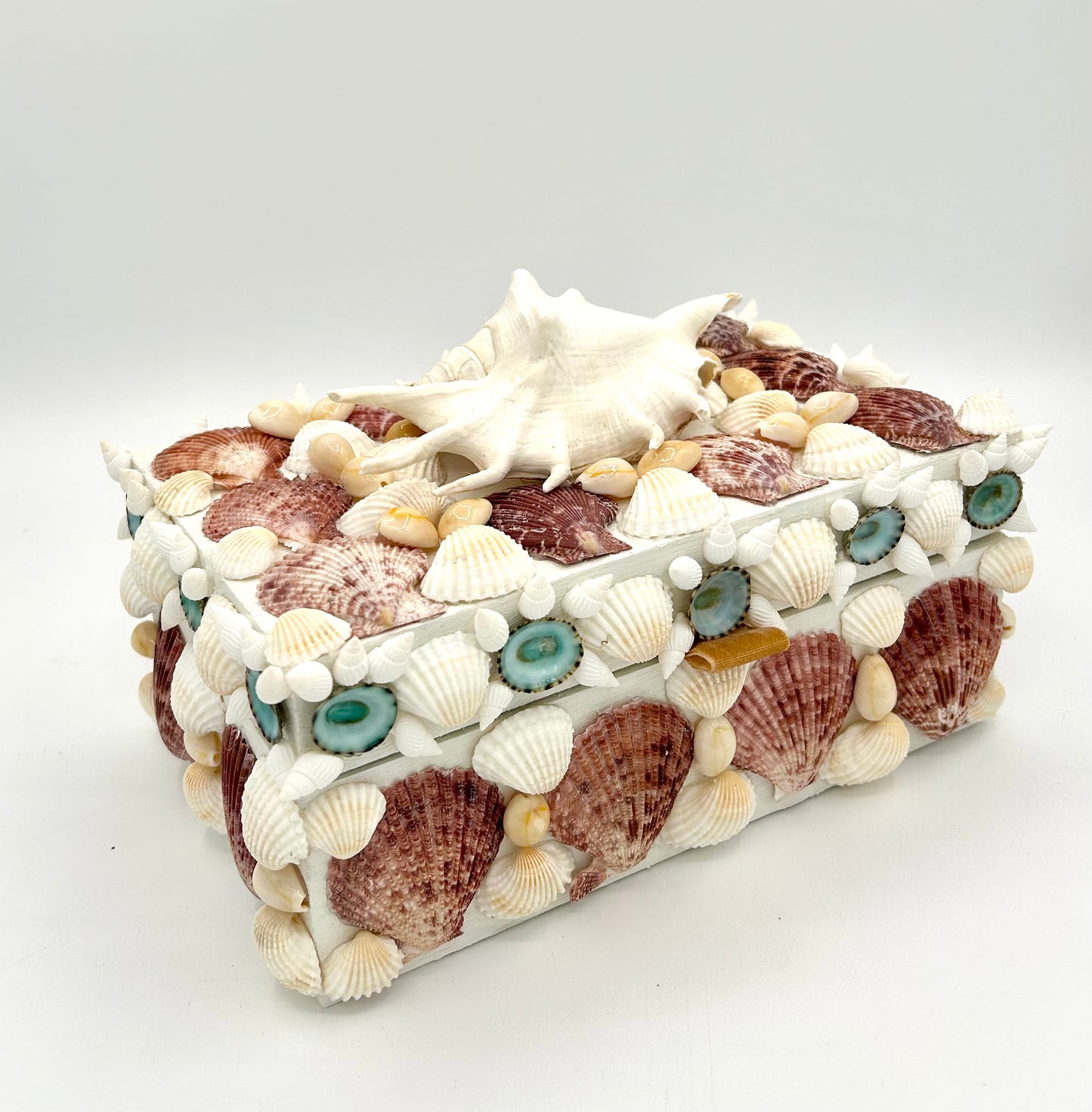 Shell Box
