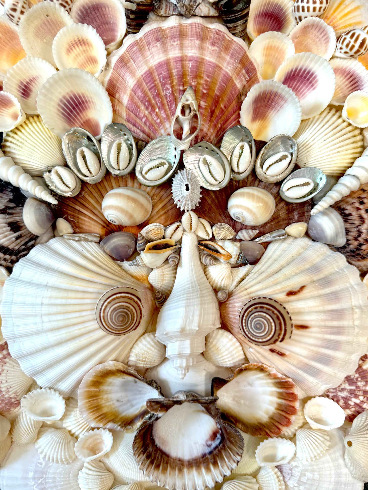Shell Face