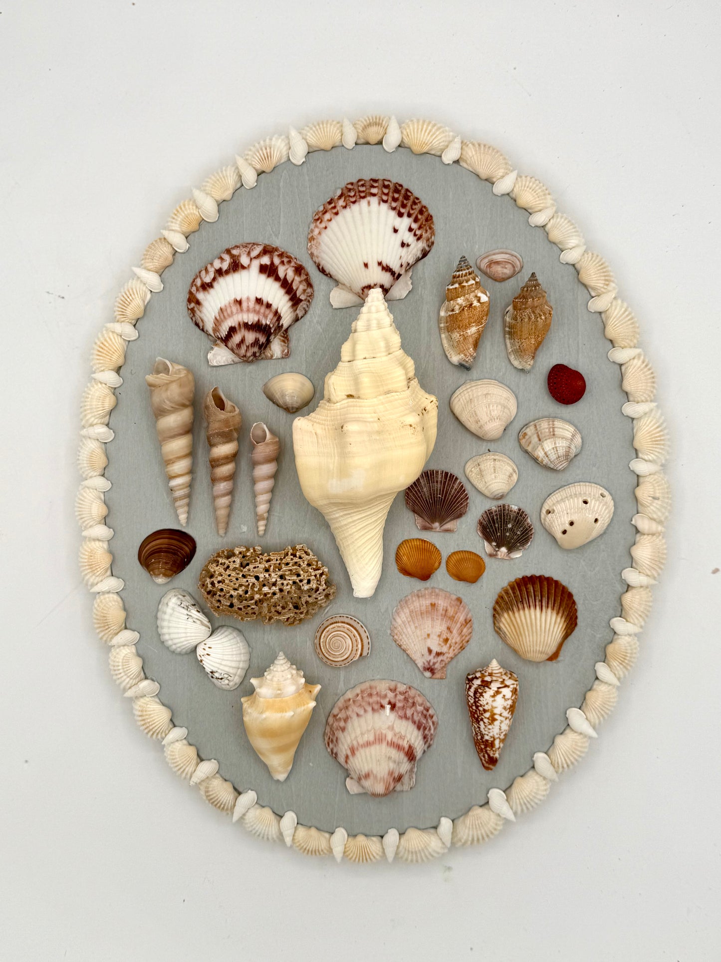 Oval Shell Panel