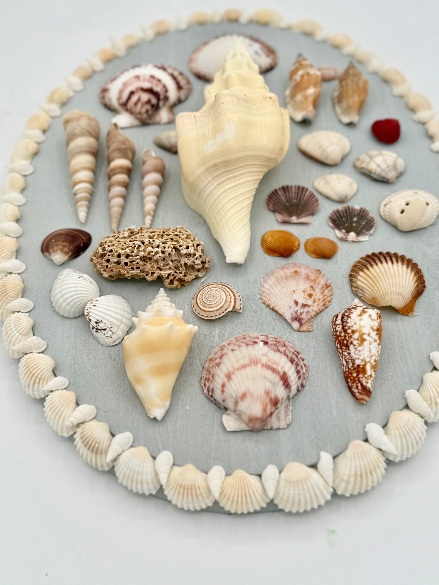 Oval Shell Panel