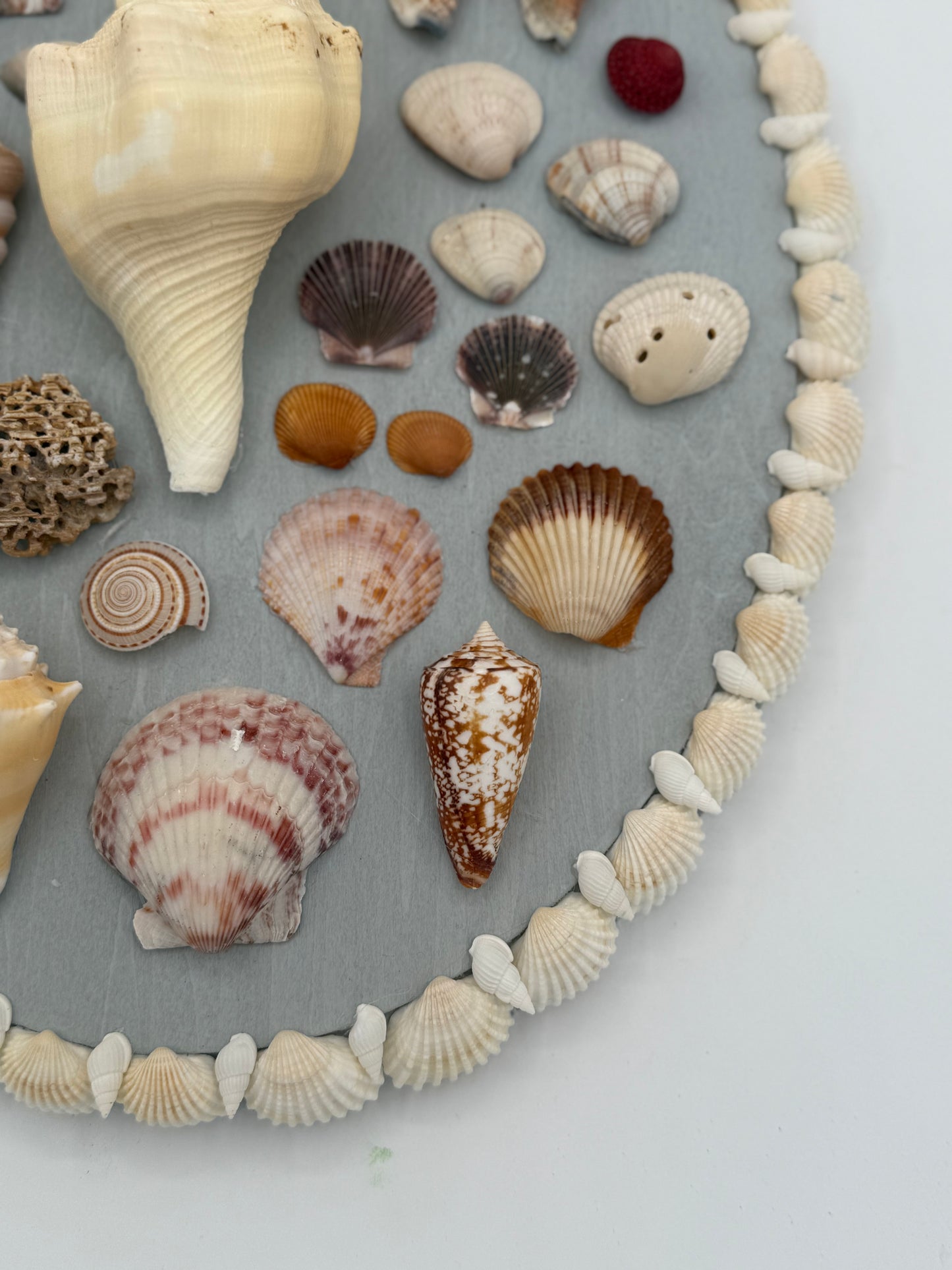 Oval Shell Panel