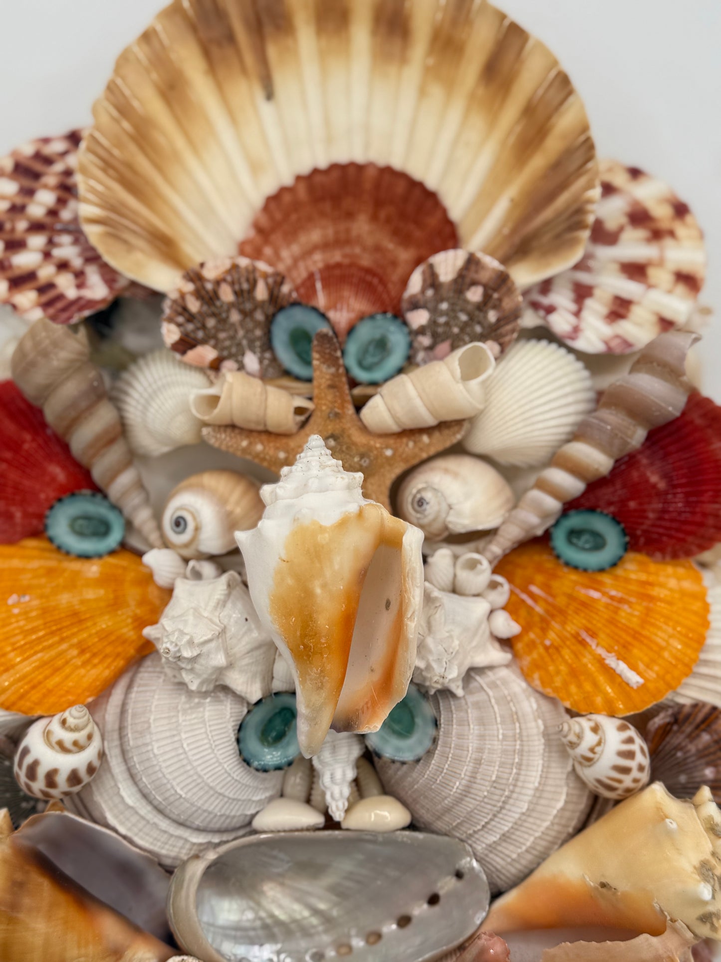 Shell Face