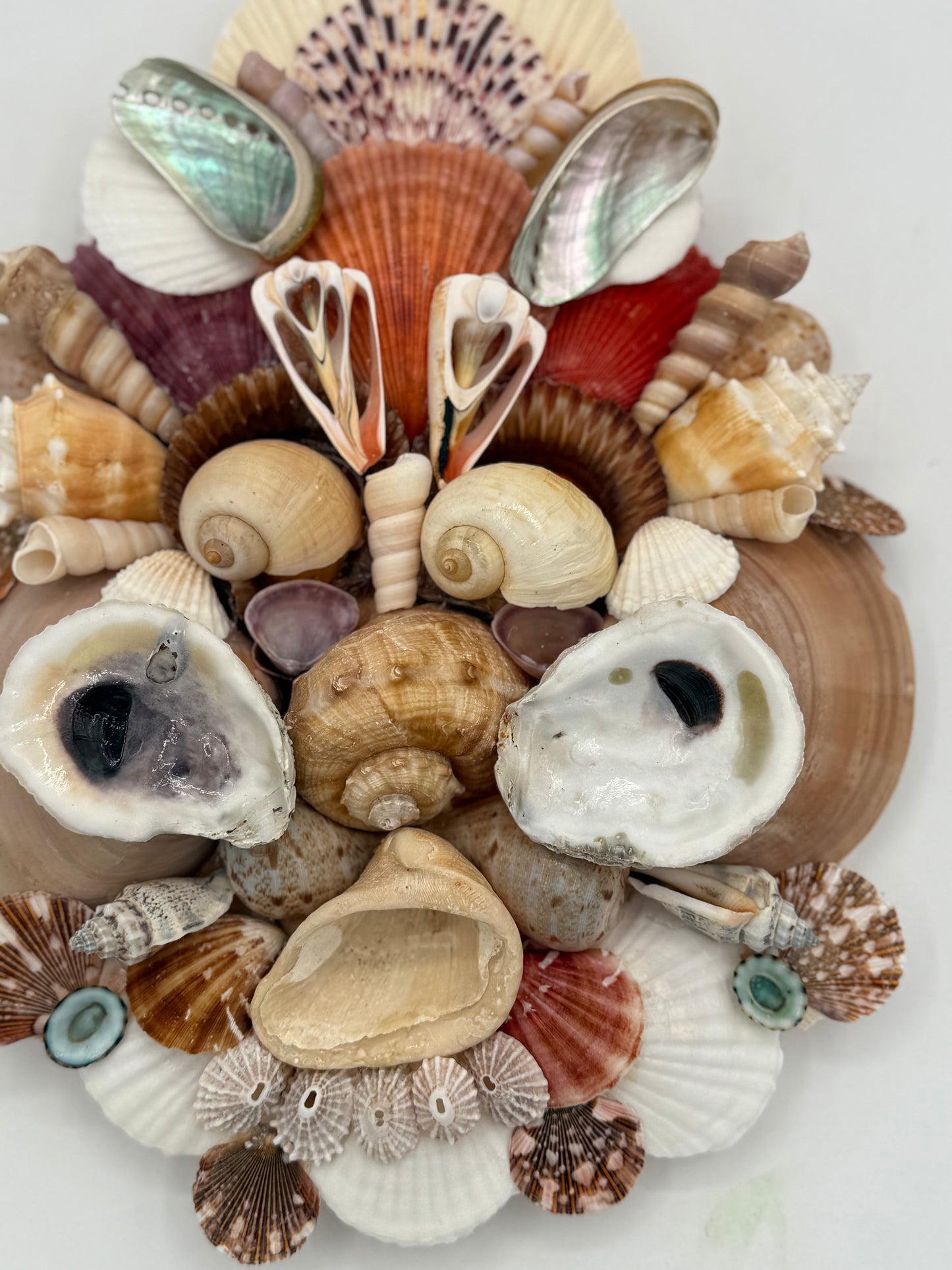 Shell Face