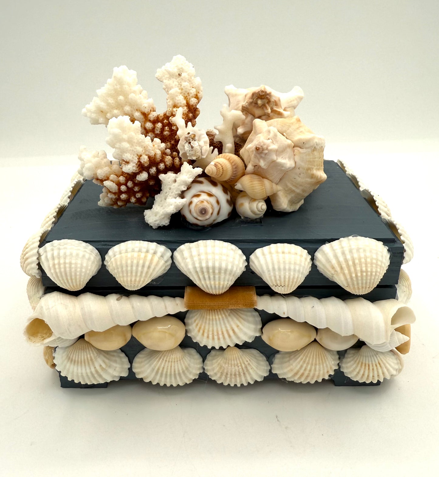 Shell Box
