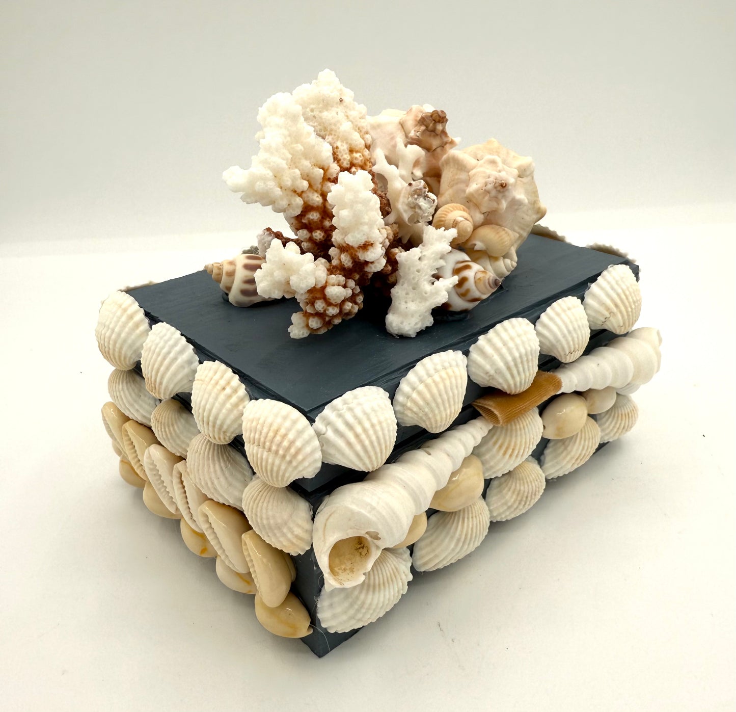 Shell Box