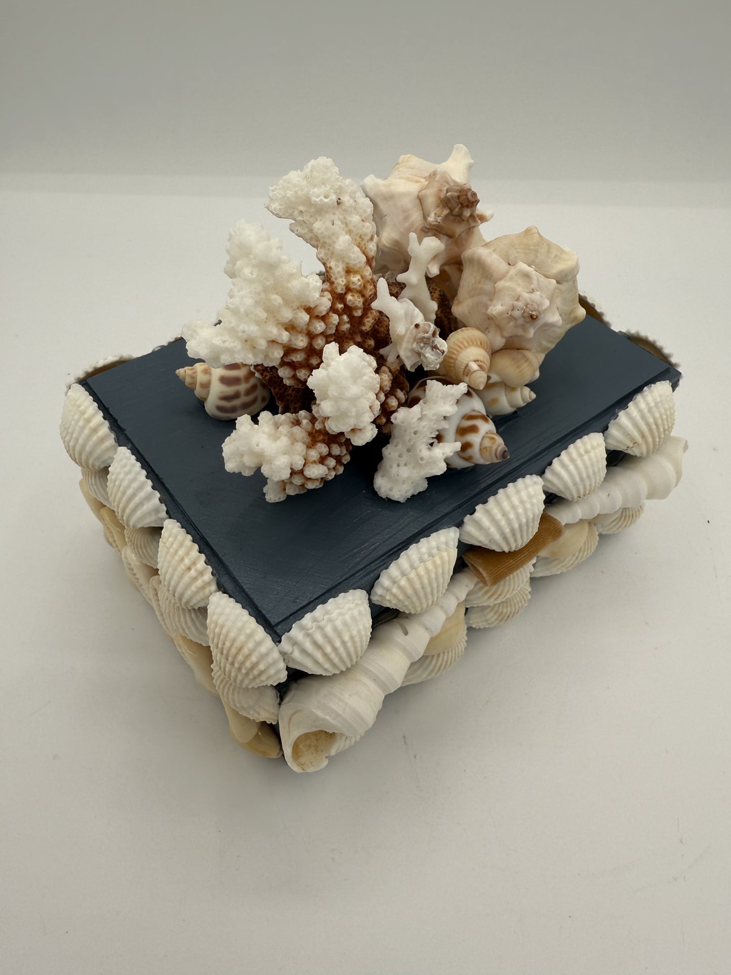 Shell Box