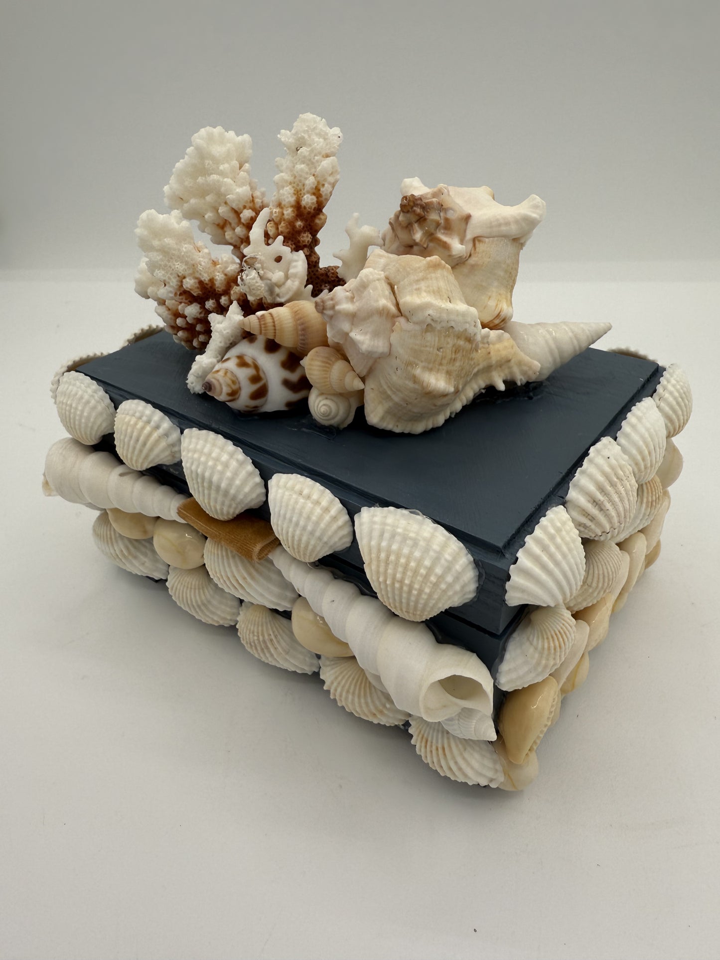 Shell Box